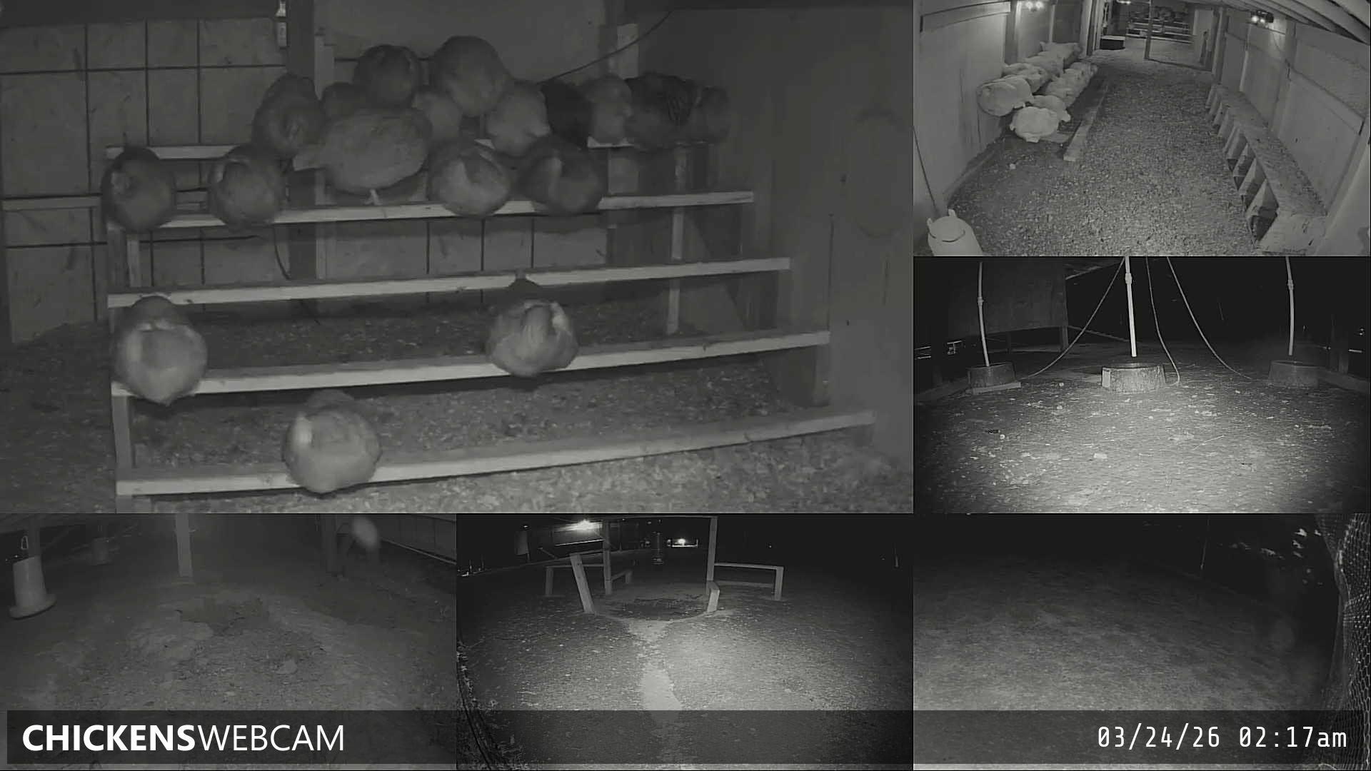 Twitch Stream Preview