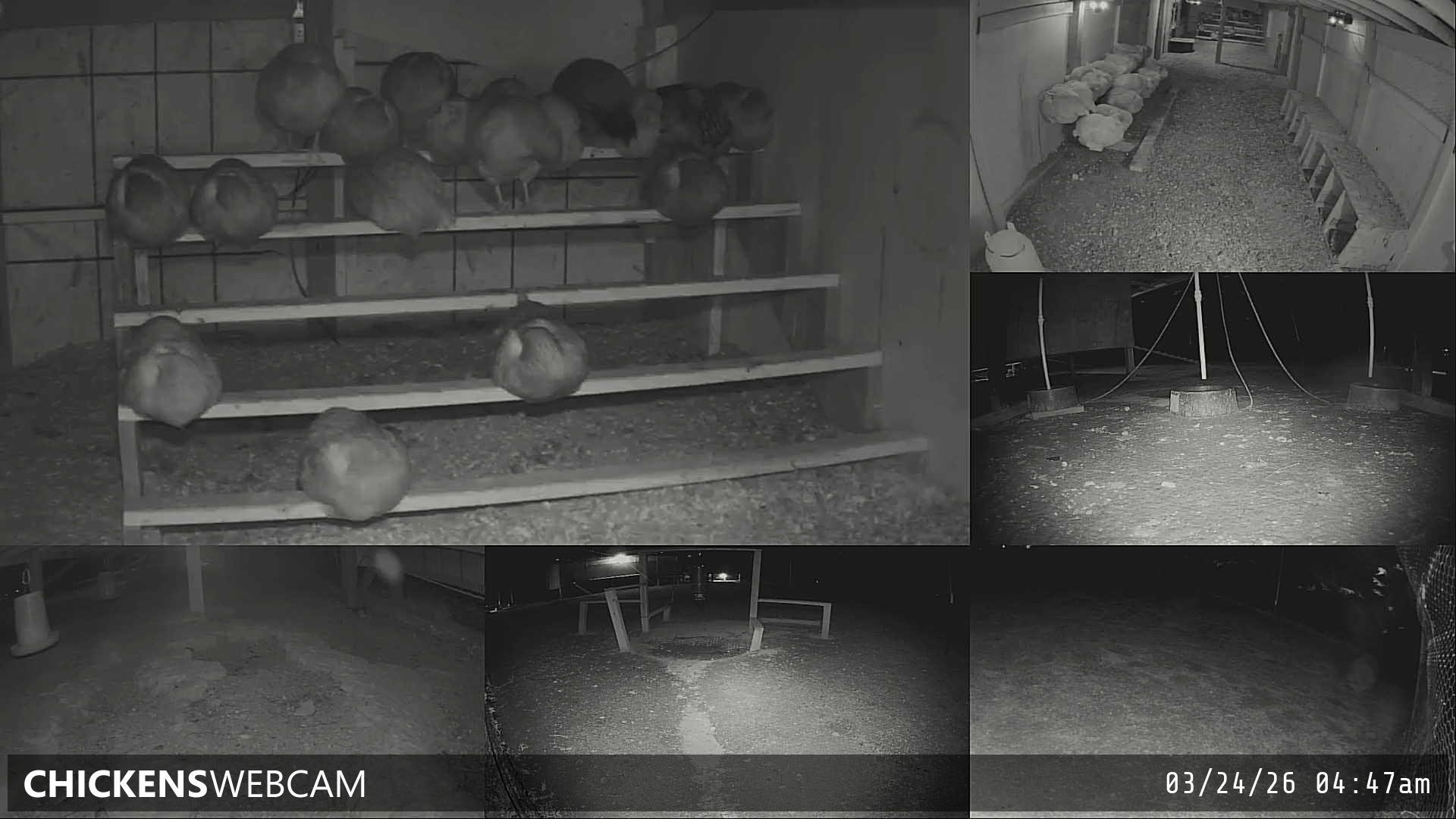 Twitch Stream Preview