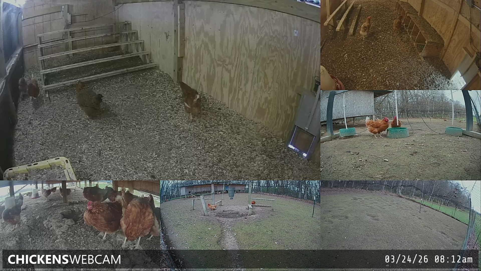 Twitch Stream Preview