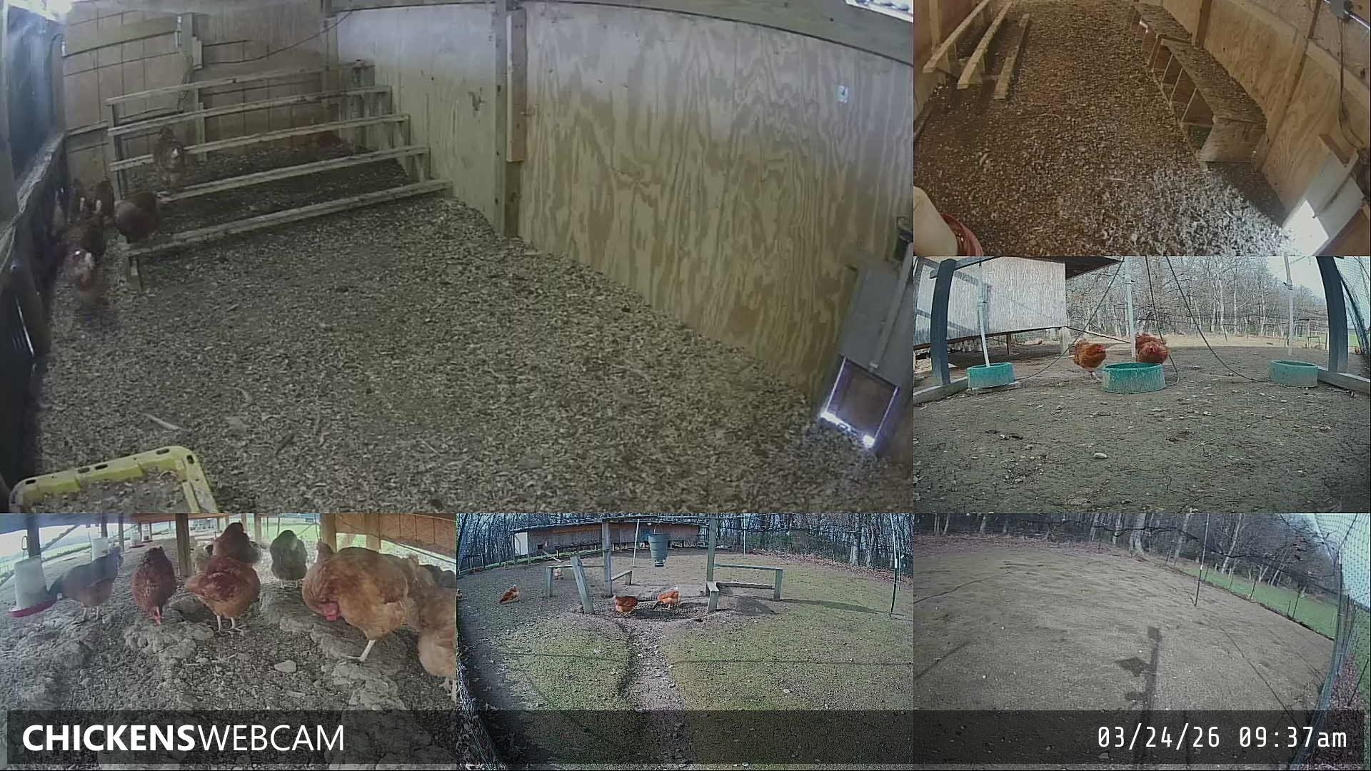 Twitch Stream Preview