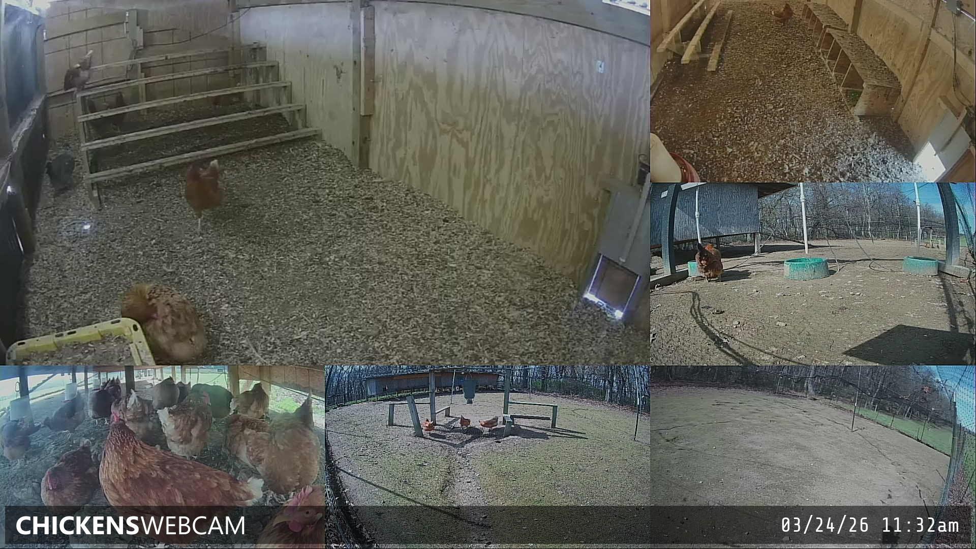 Twitch Stream Preview