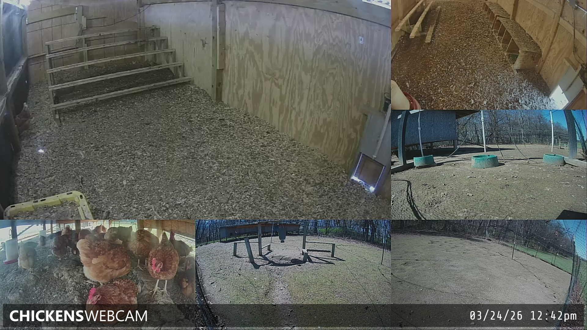 Twitch Stream Preview