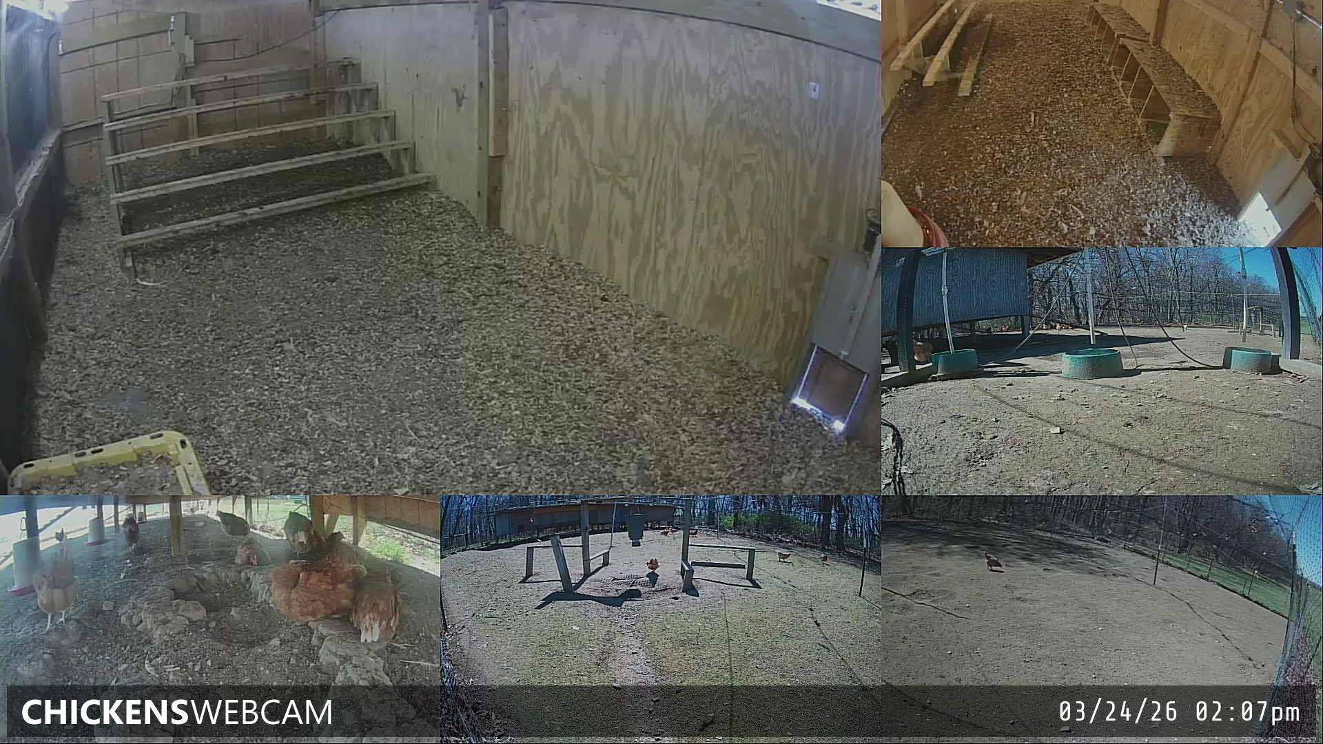 Twitch Stream Preview