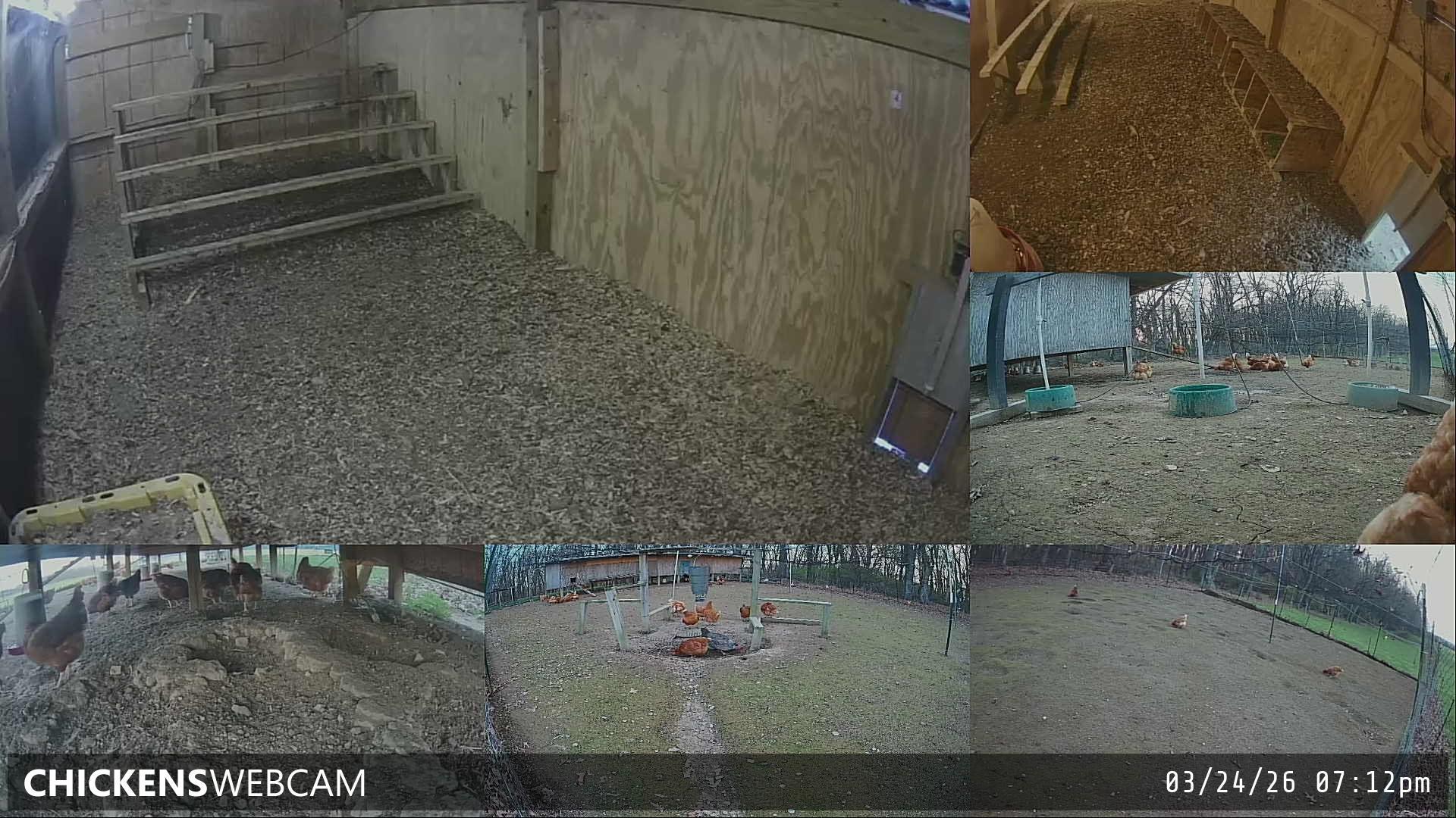 Twitch Stream Preview