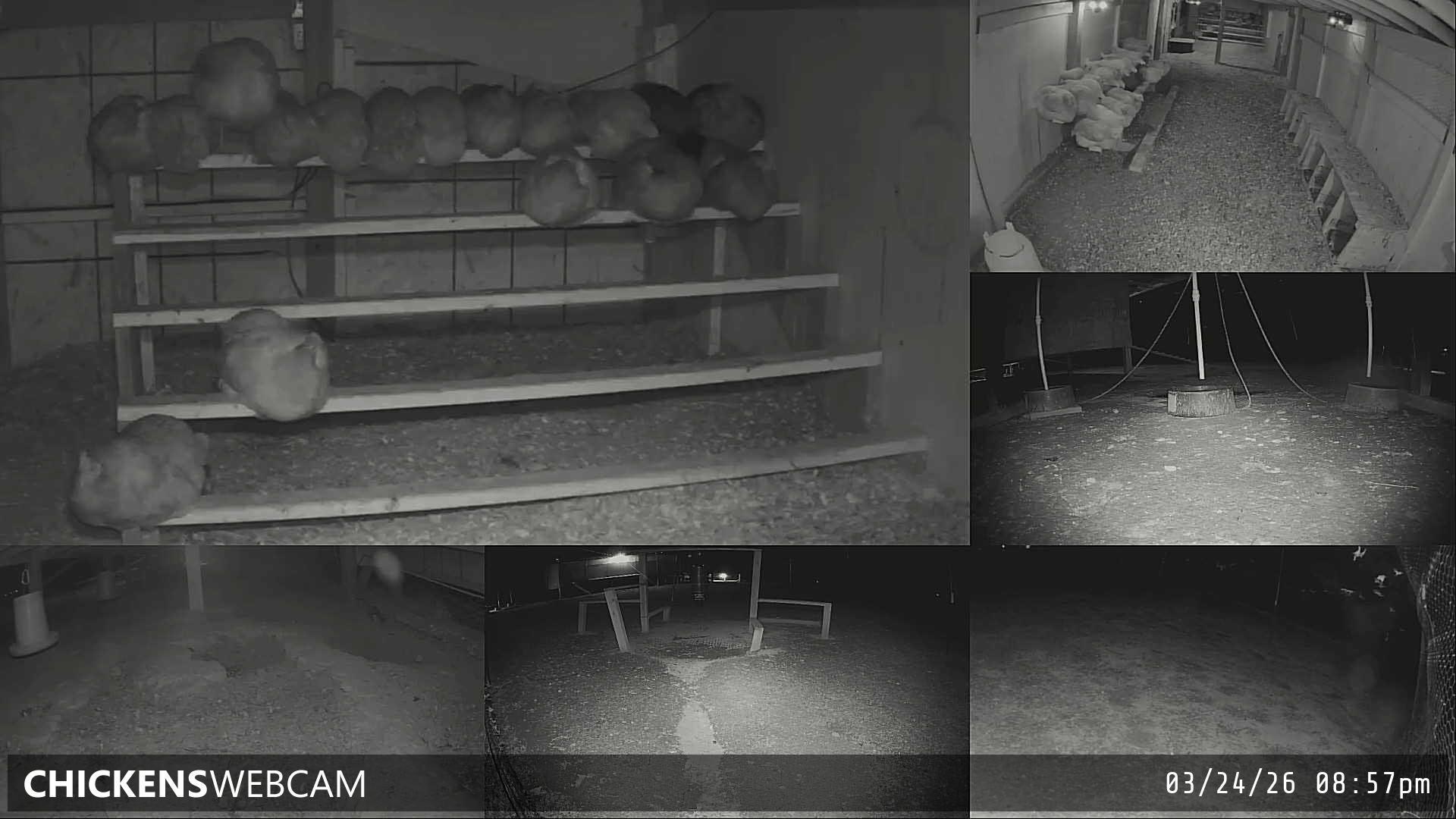 Twitch Stream Preview