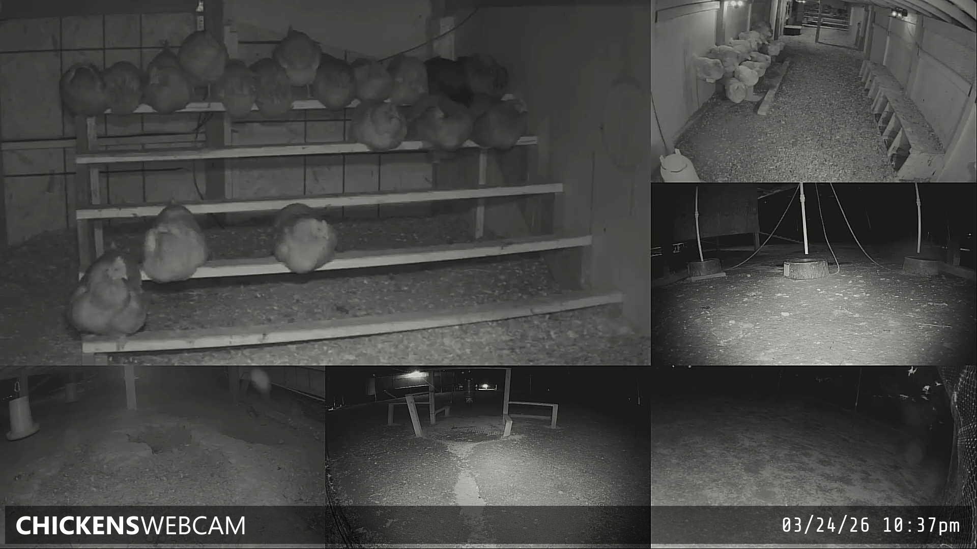 Twitch Stream Preview