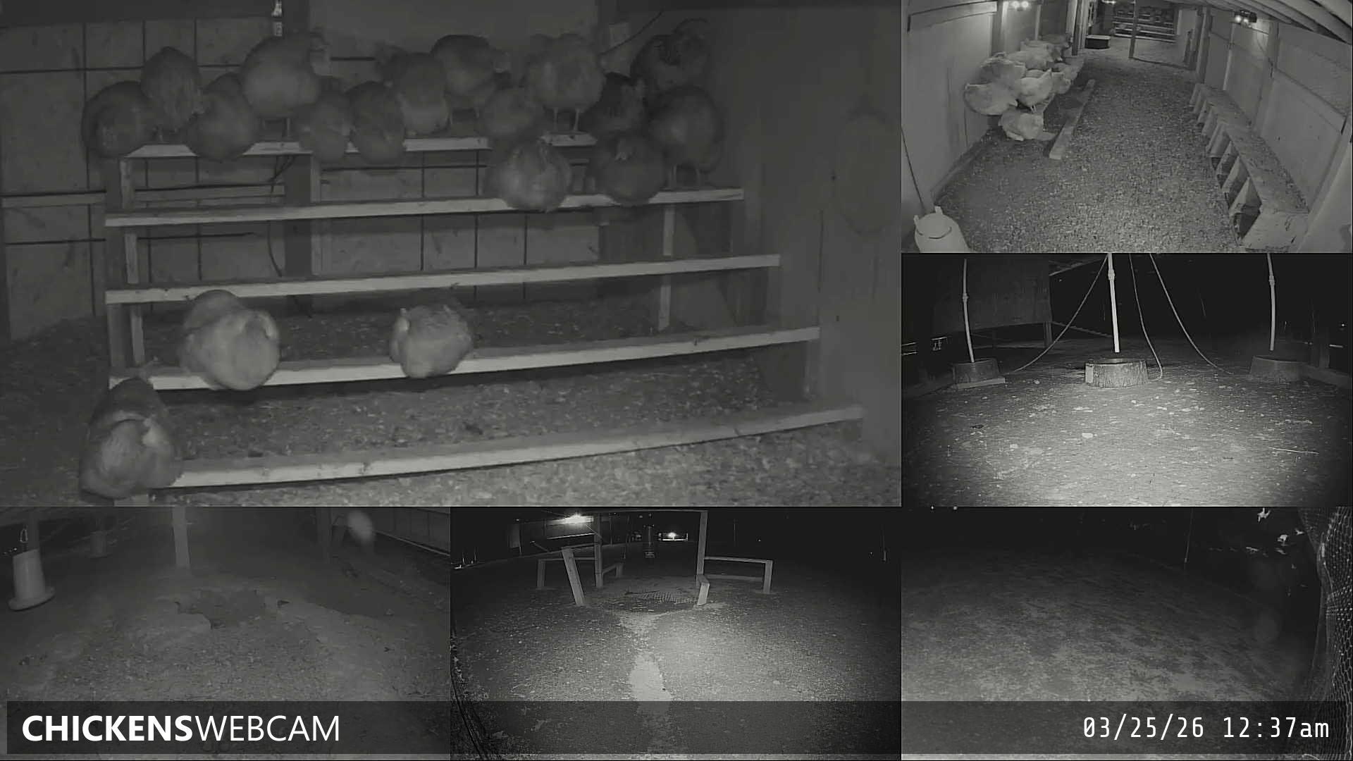 Twitch Stream Preview