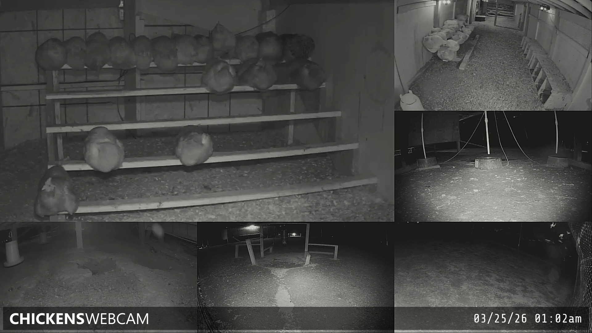 Twitch Stream Preview