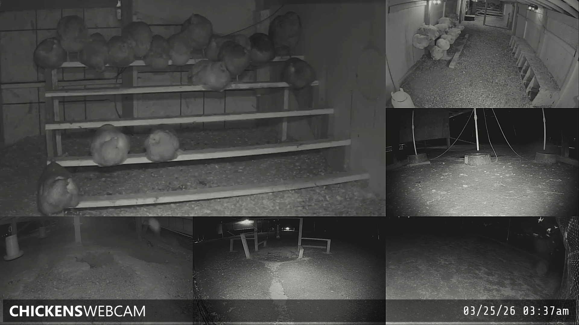 Twitch Stream Preview