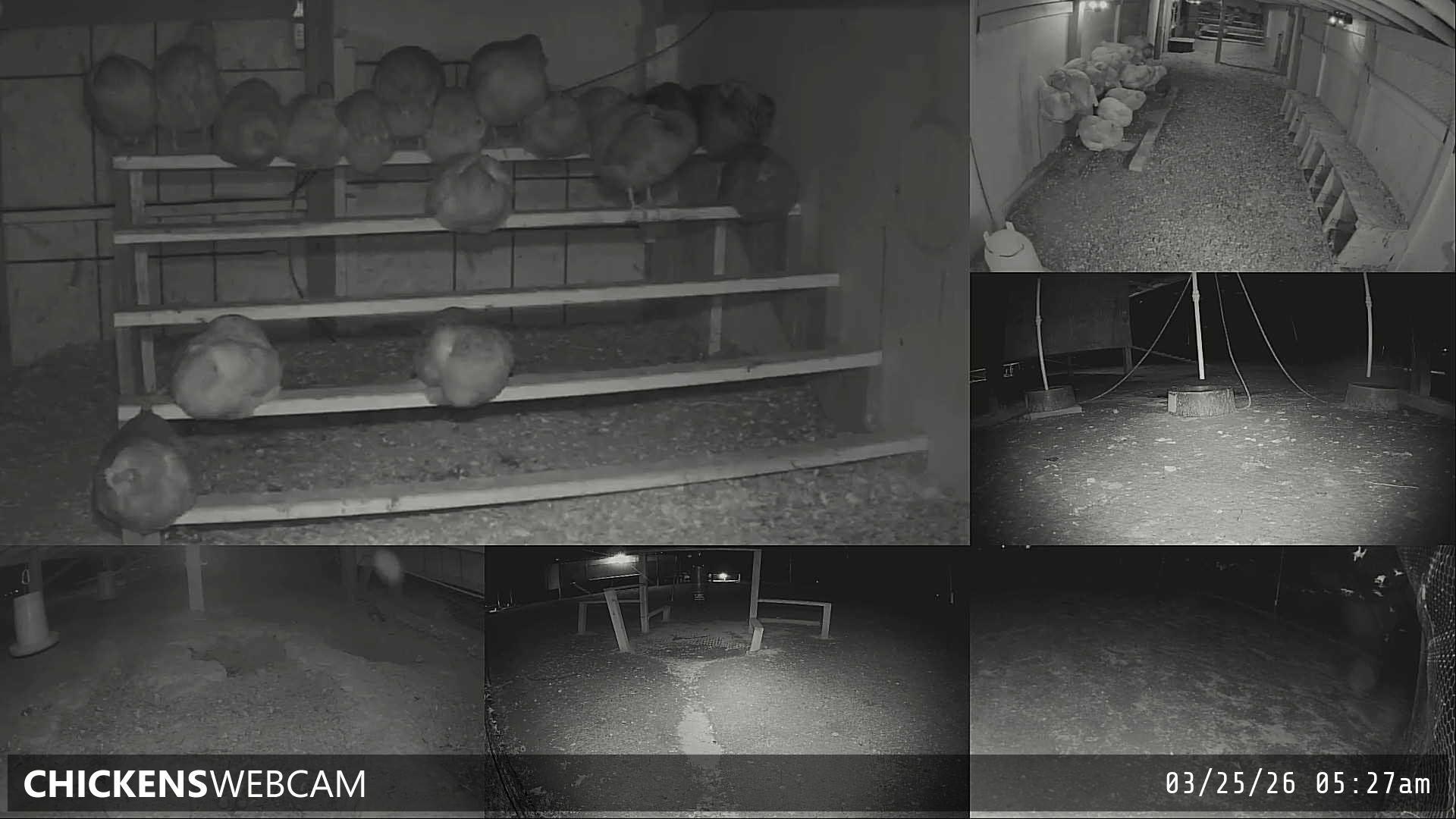 Twitch Stream Preview