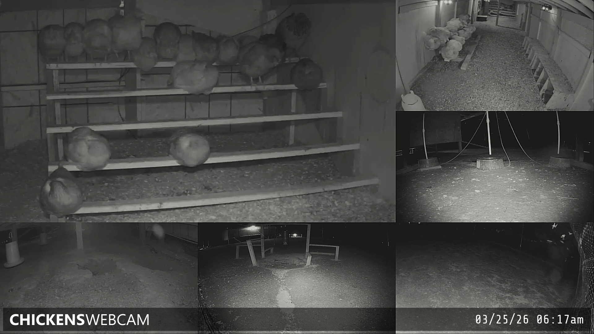 Twitch Stream Preview