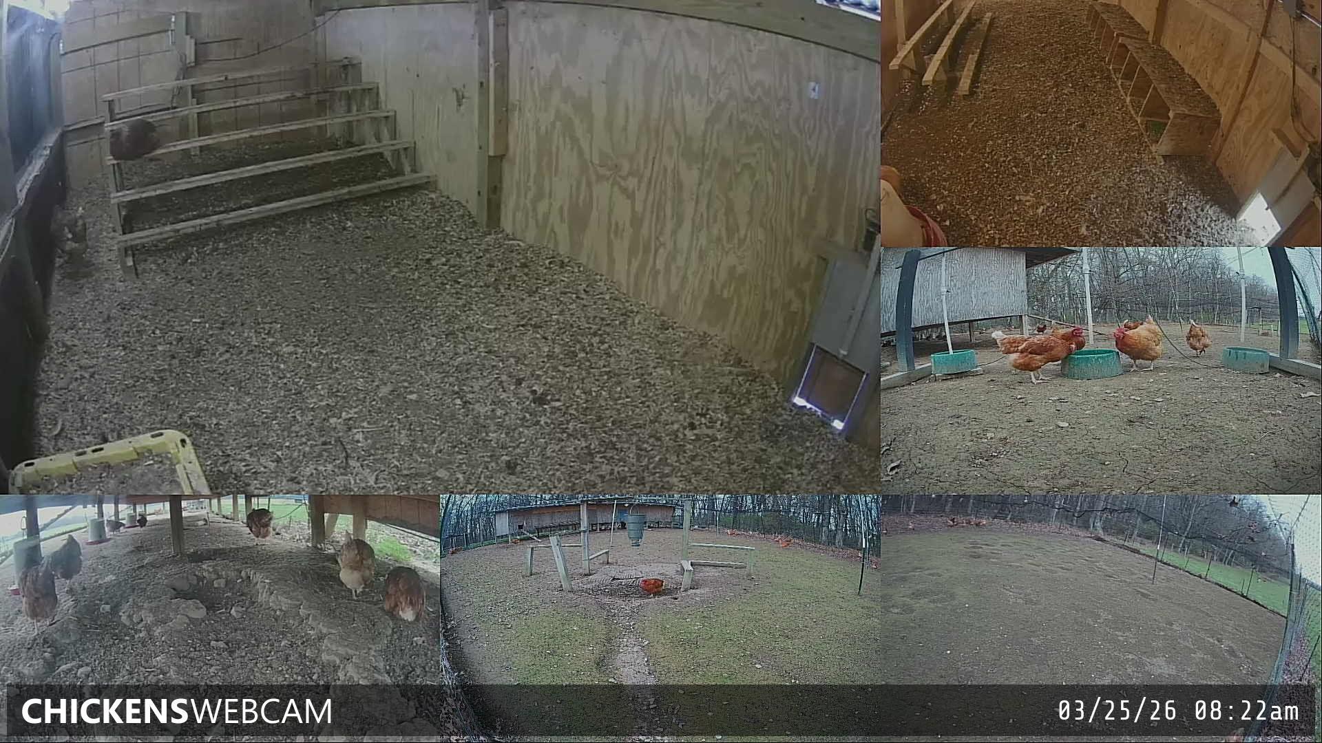 Twitch Stream Preview