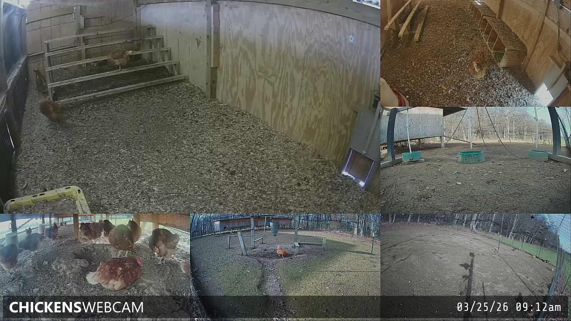 Twitch Stream Preview