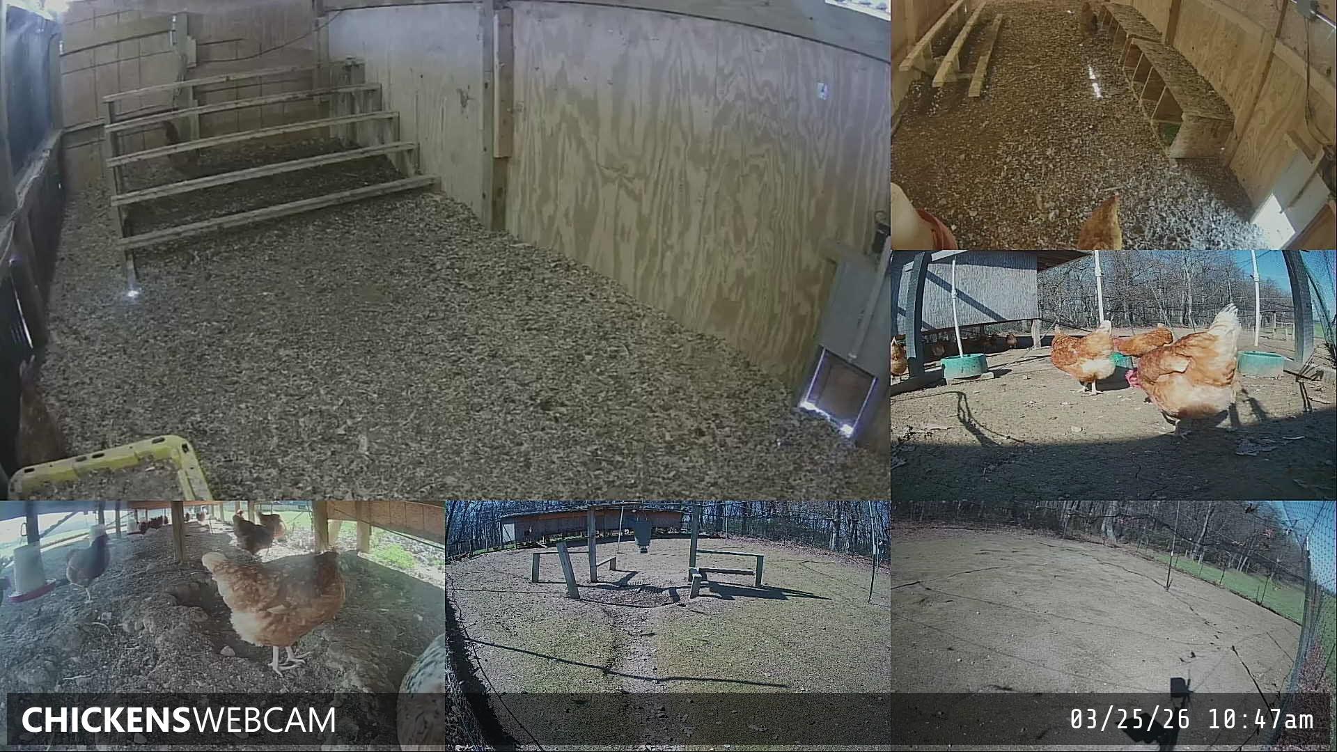 Twitch Stream Preview