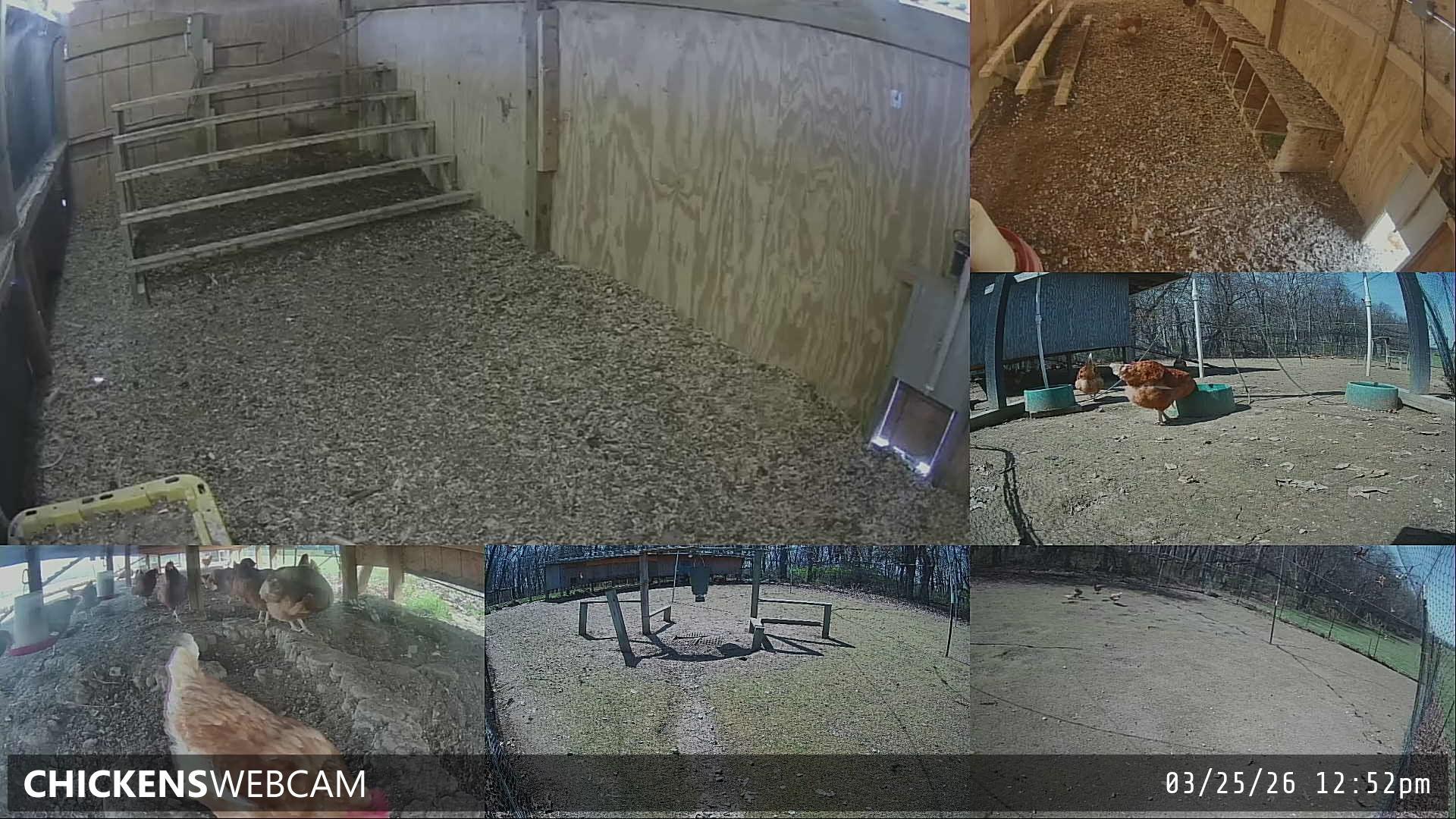 Twitch Stream Preview