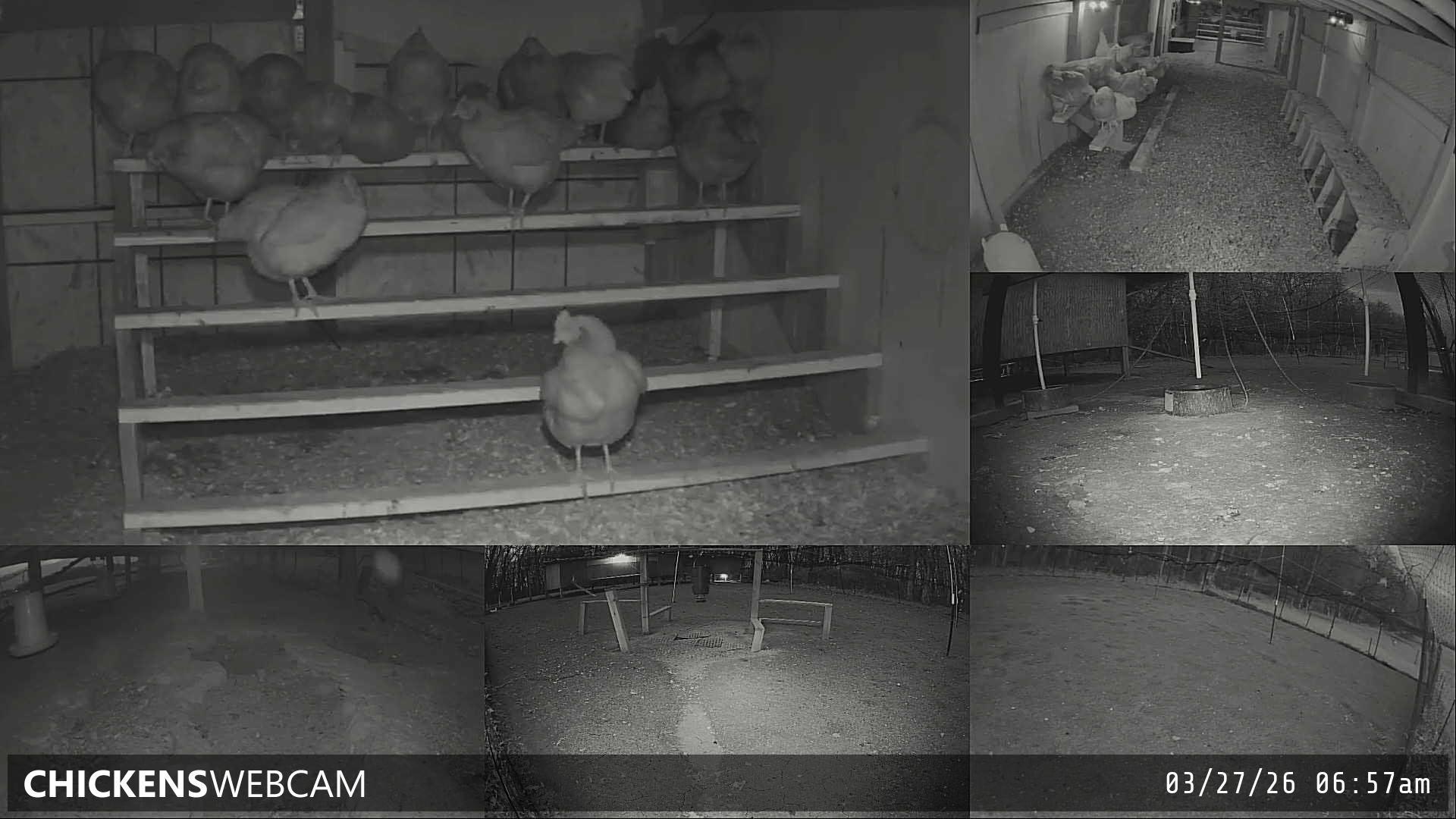 Twitch Stream Preview