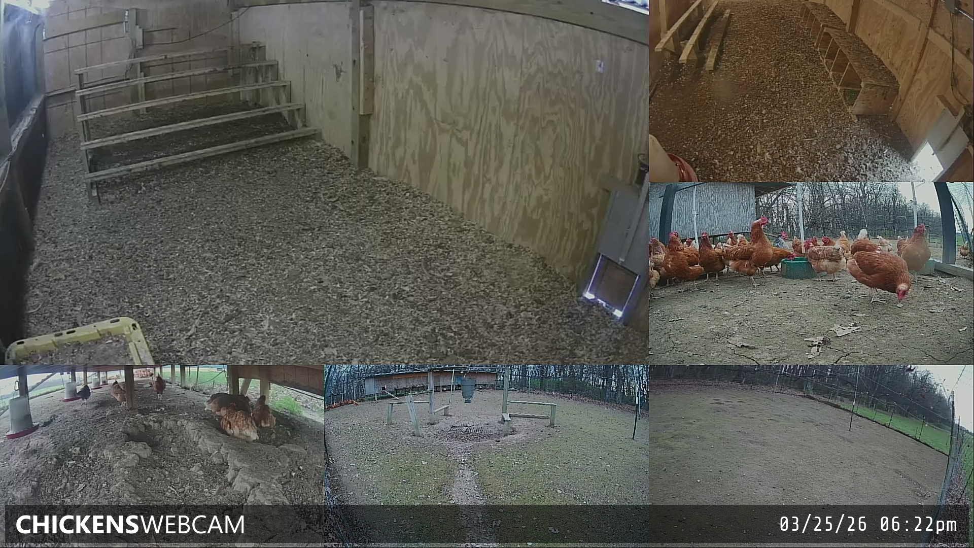 Twitch Stream Preview