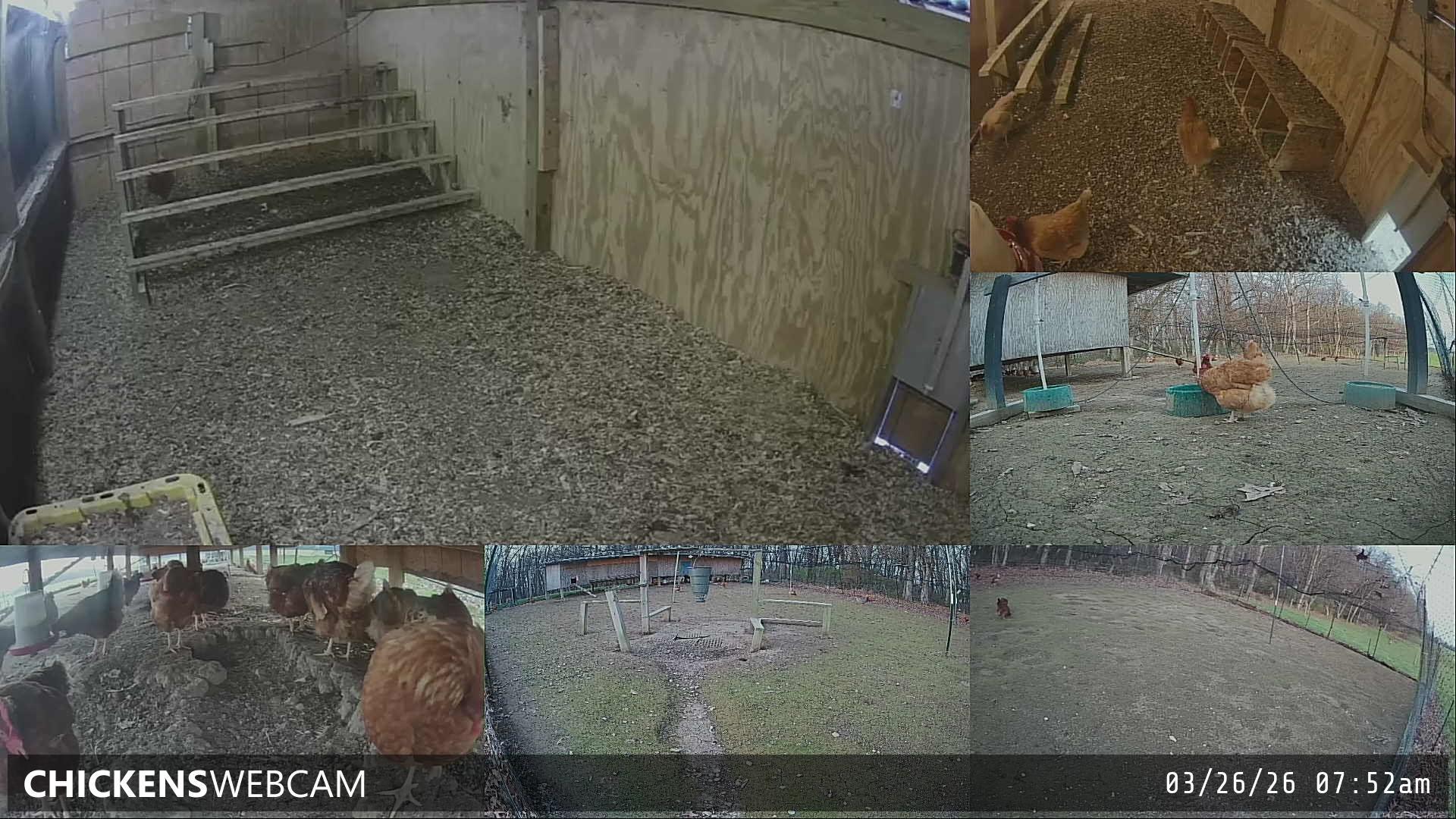 Twitch Stream Preview