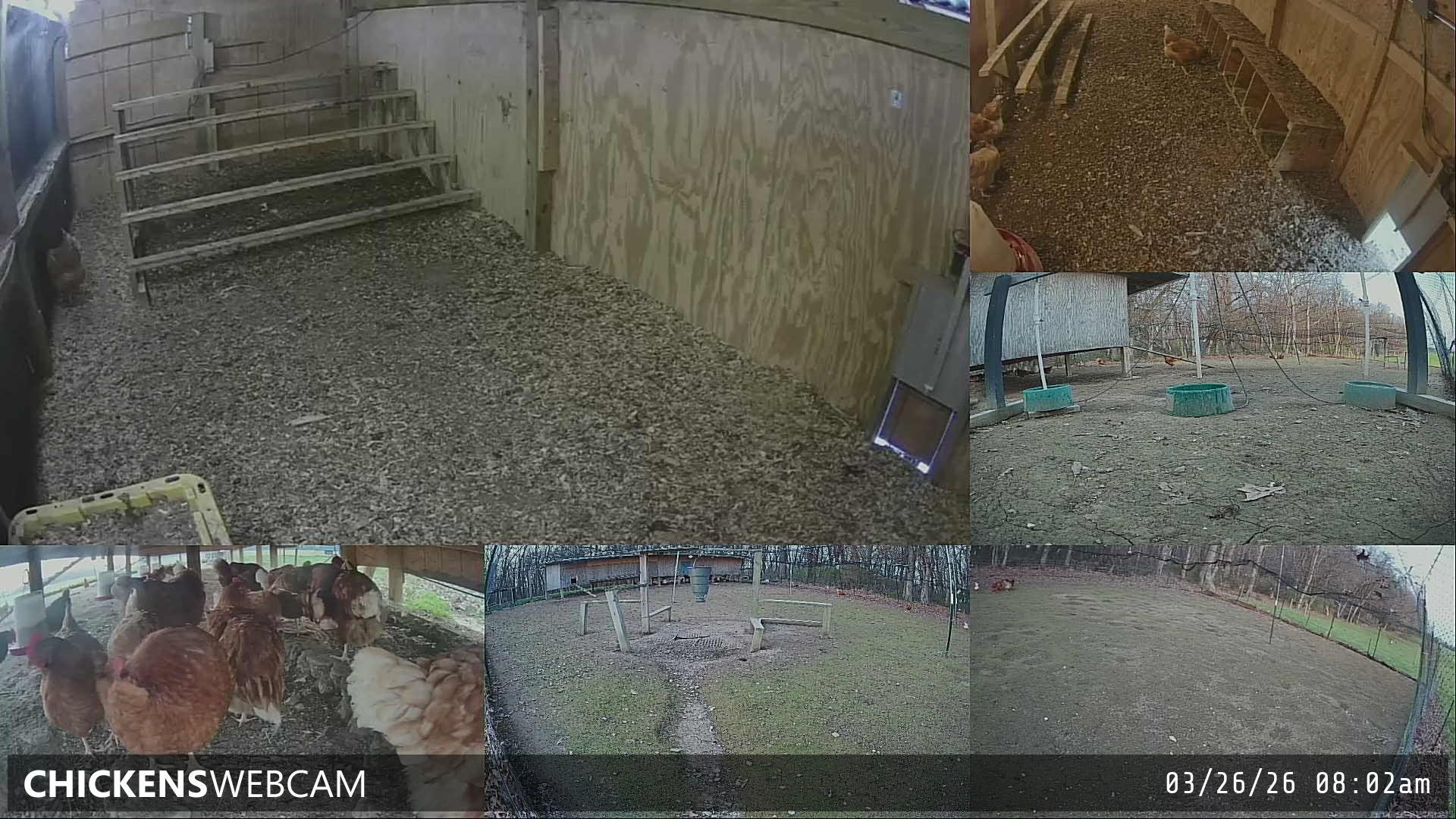 Twitch Stream Preview