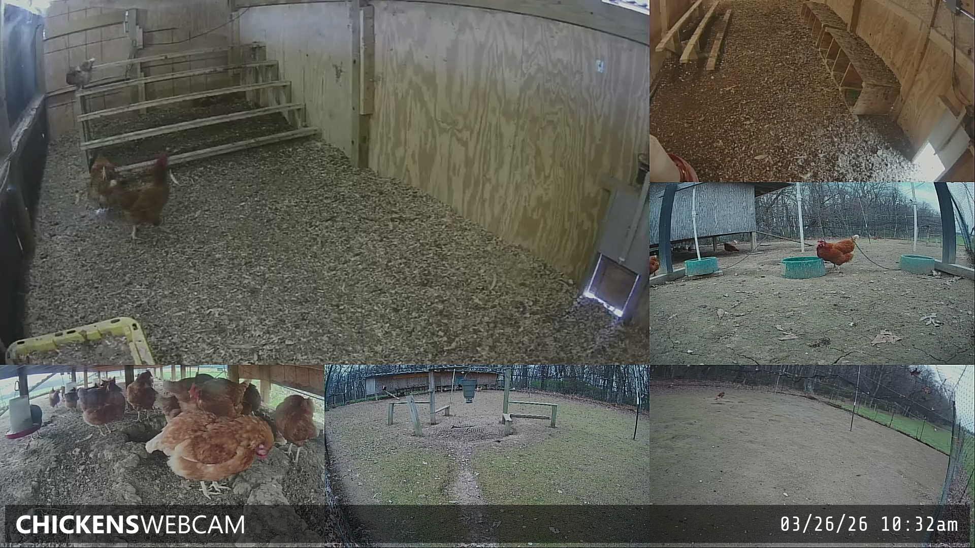 Twitch Stream Preview