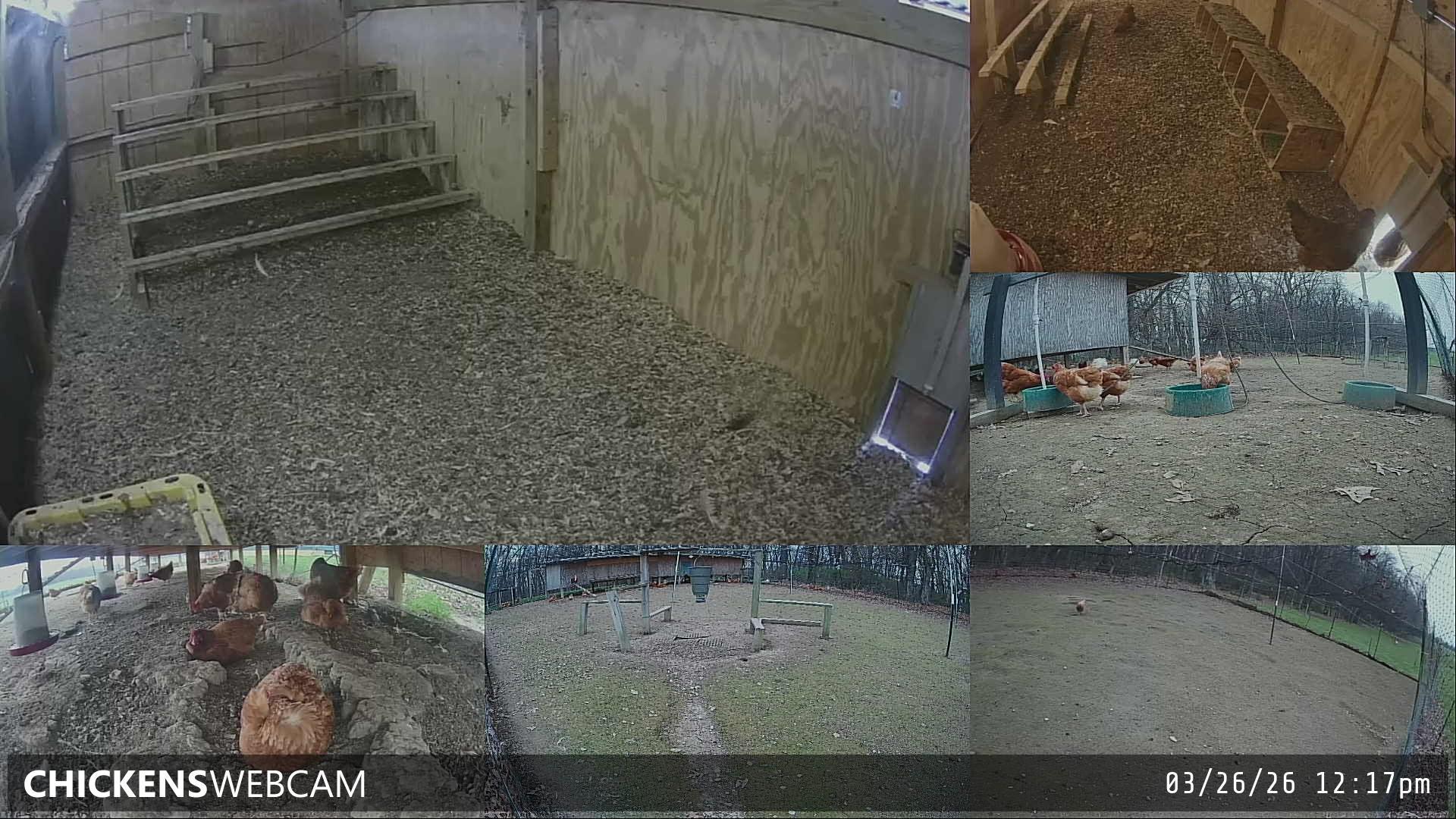 Twitch Stream Preview