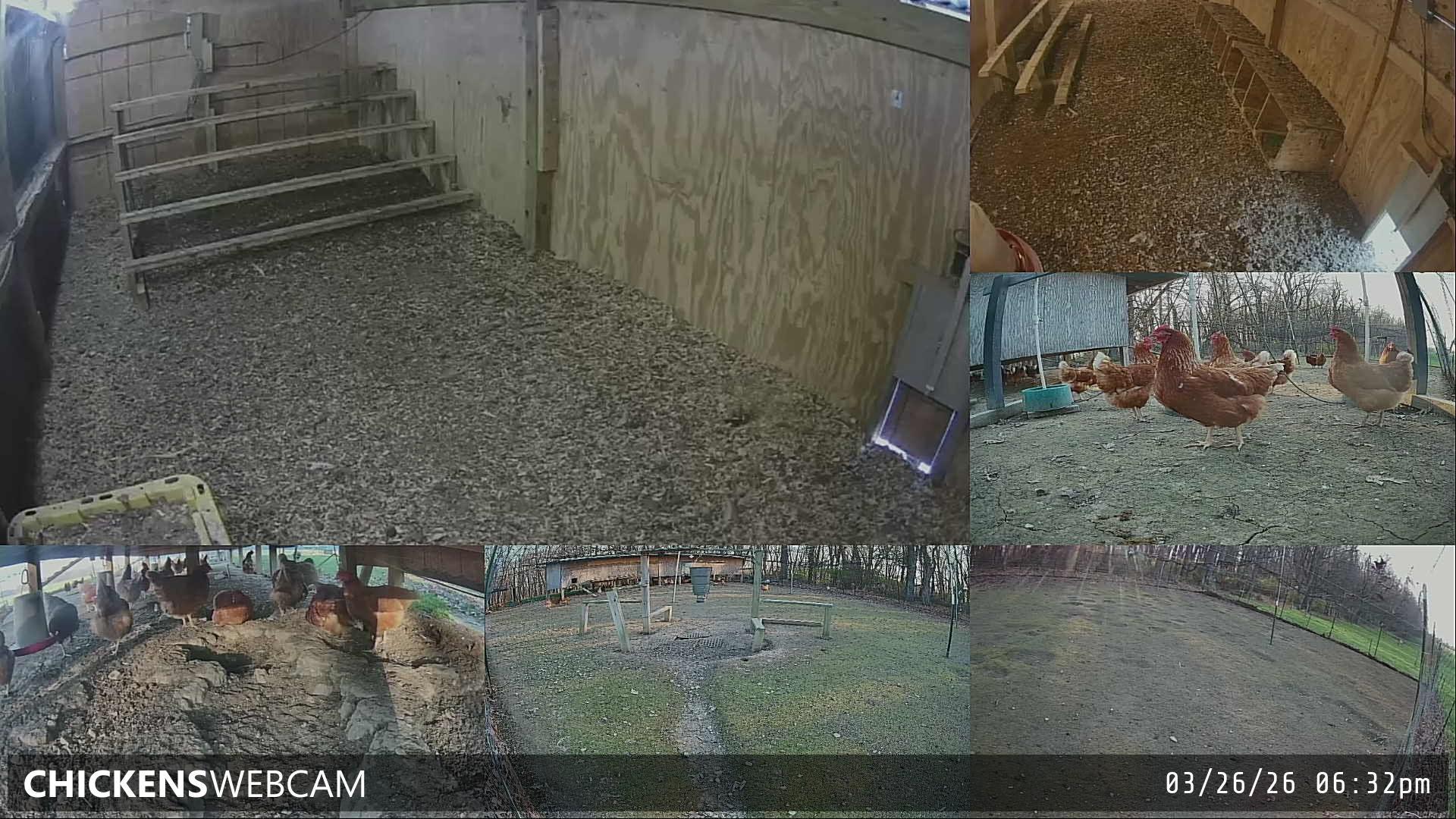 Twitch Stream Preview