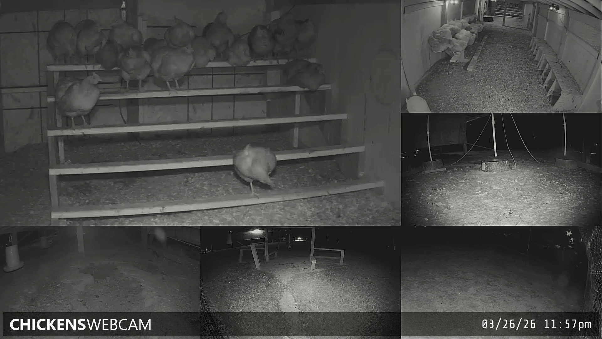 Twitch Stream Preview