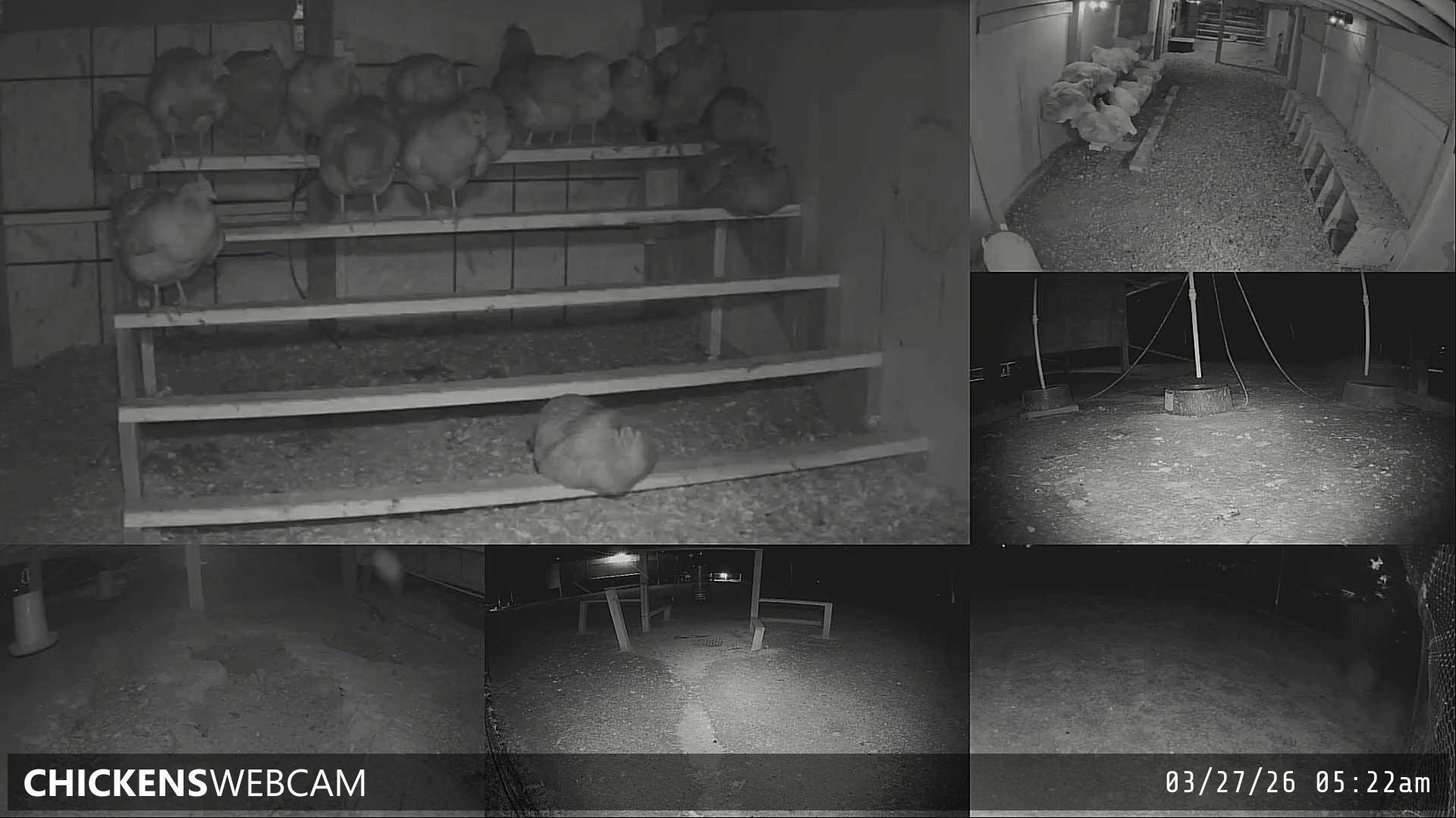 Twitch Stream Preview