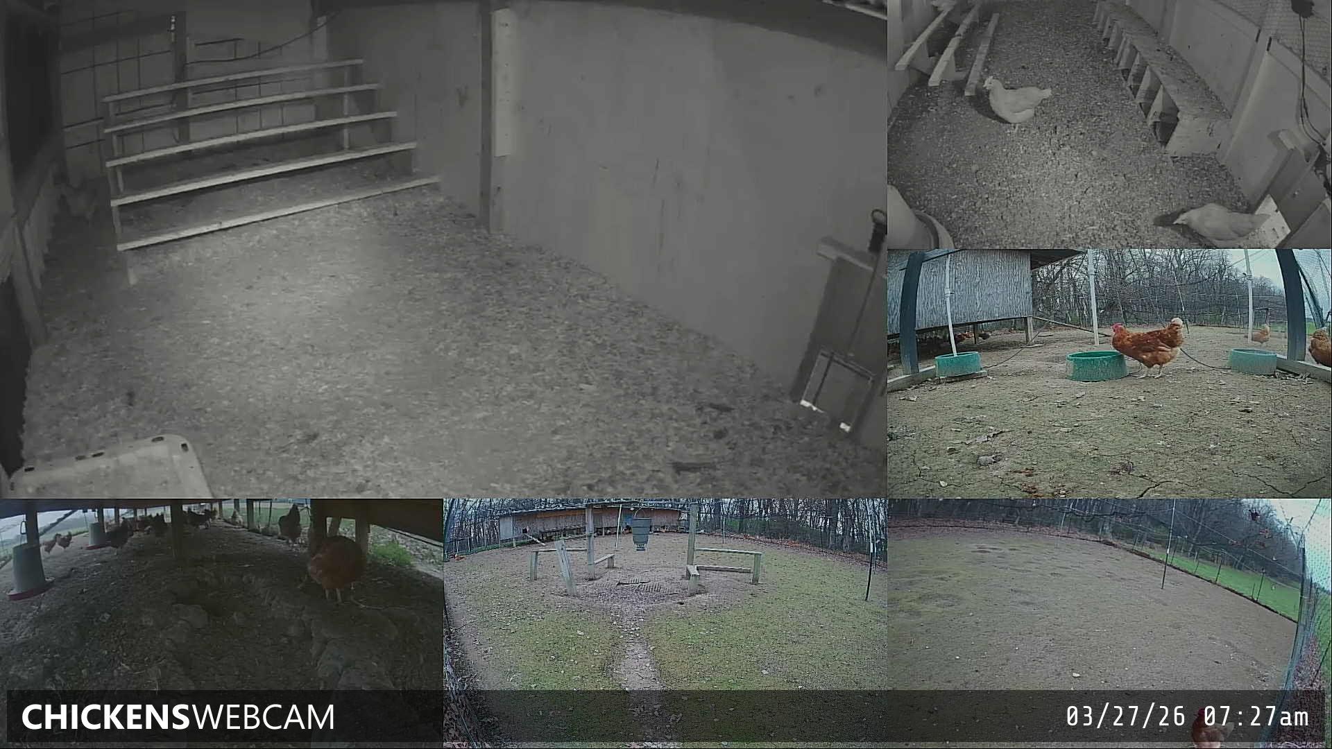 Twitch Stream Preview