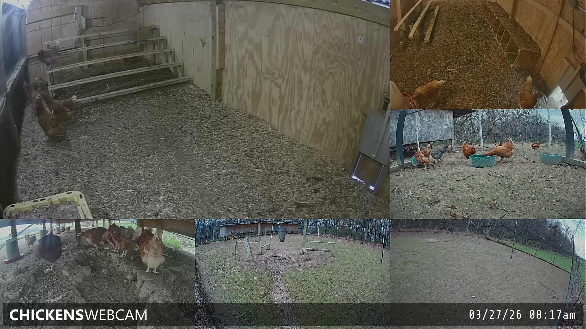 Twitch Stream Preview