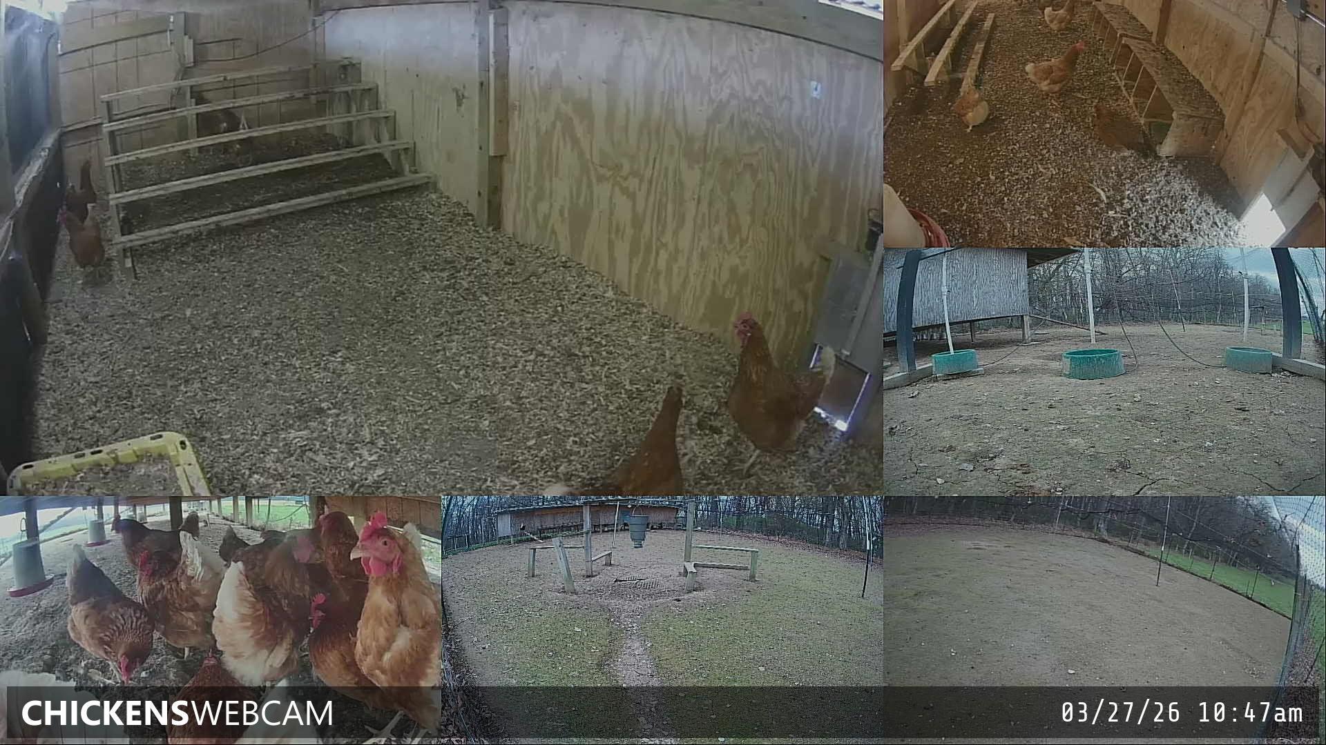 Twitch Stream Preview