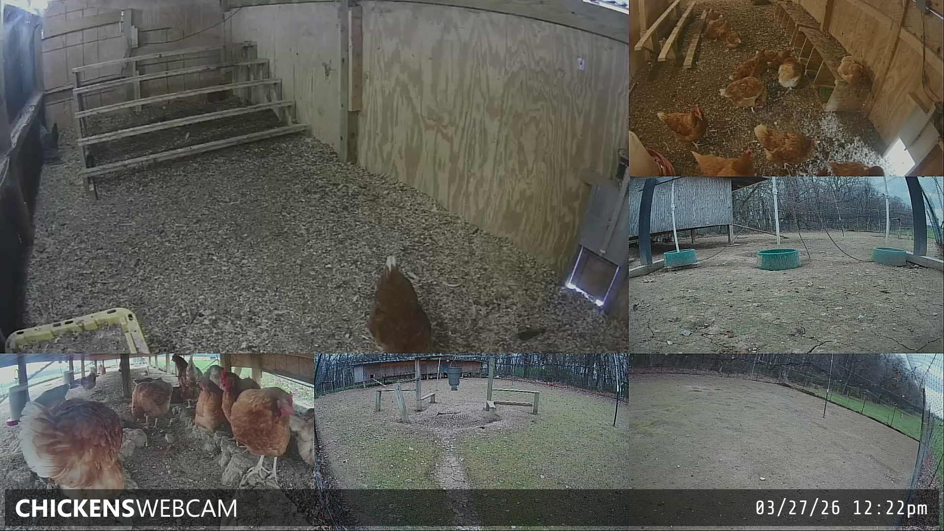 Twitch Stream Preview