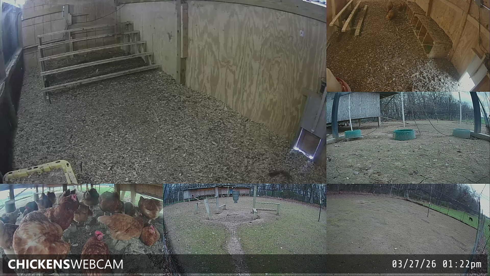 Twitch Stream Preview