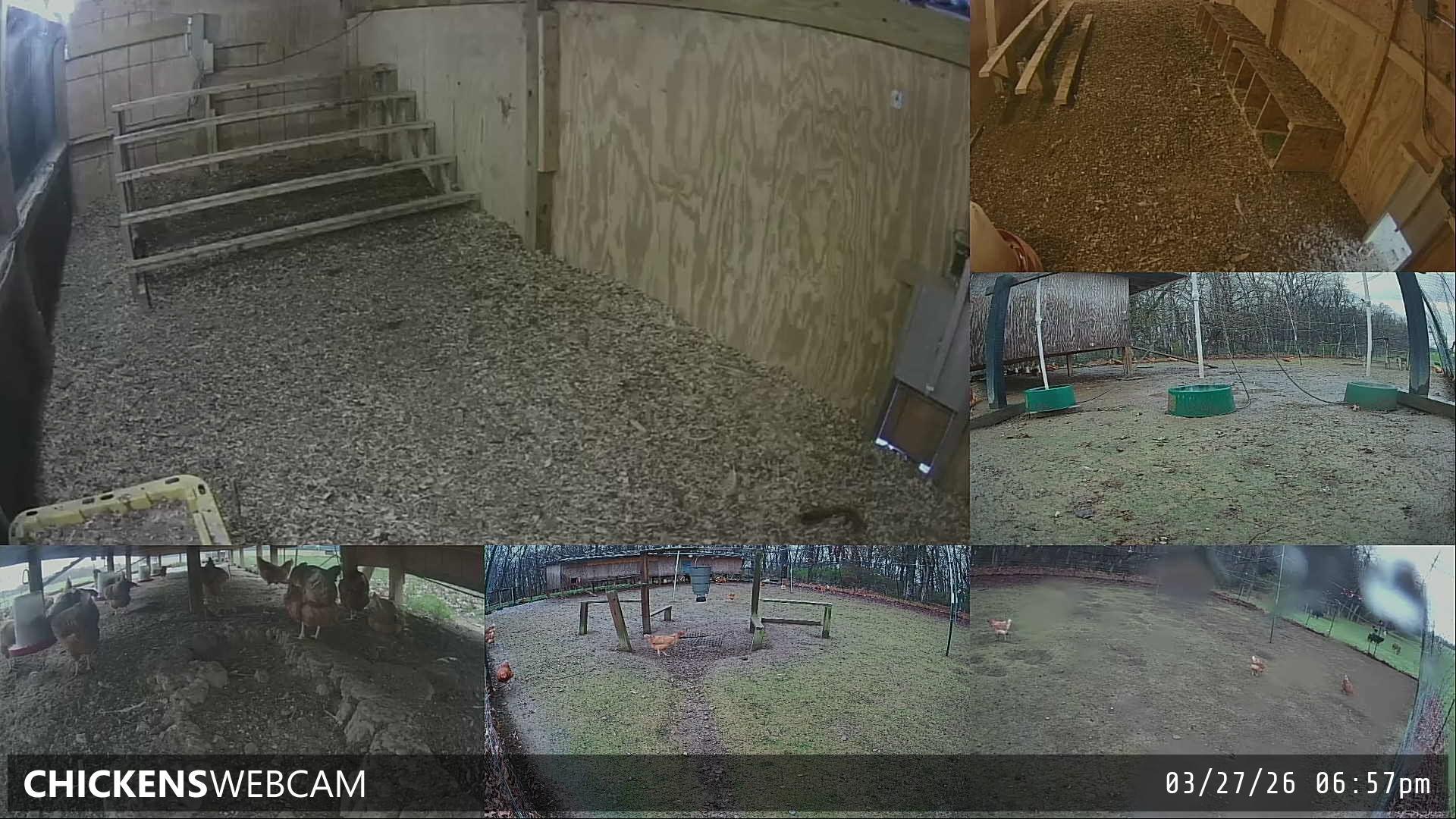 Twitch Stream Preview