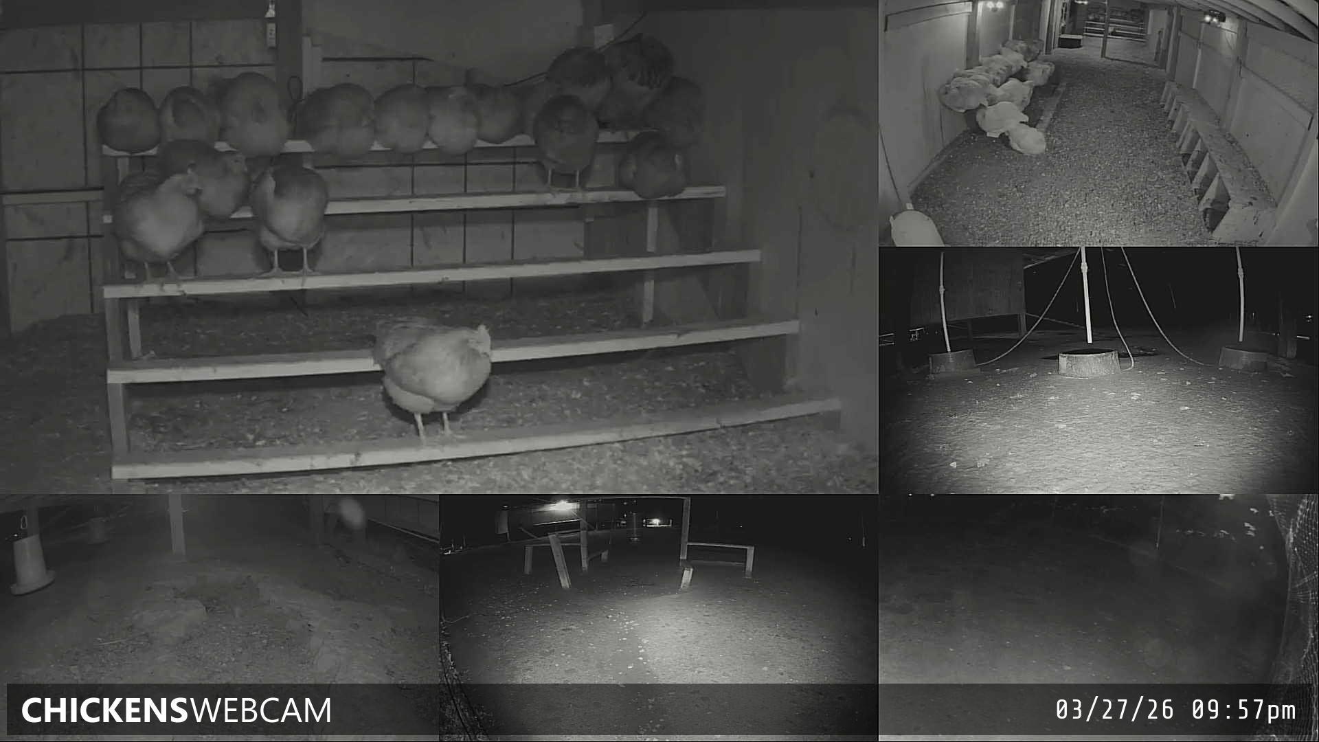 Twitch Stream Preview