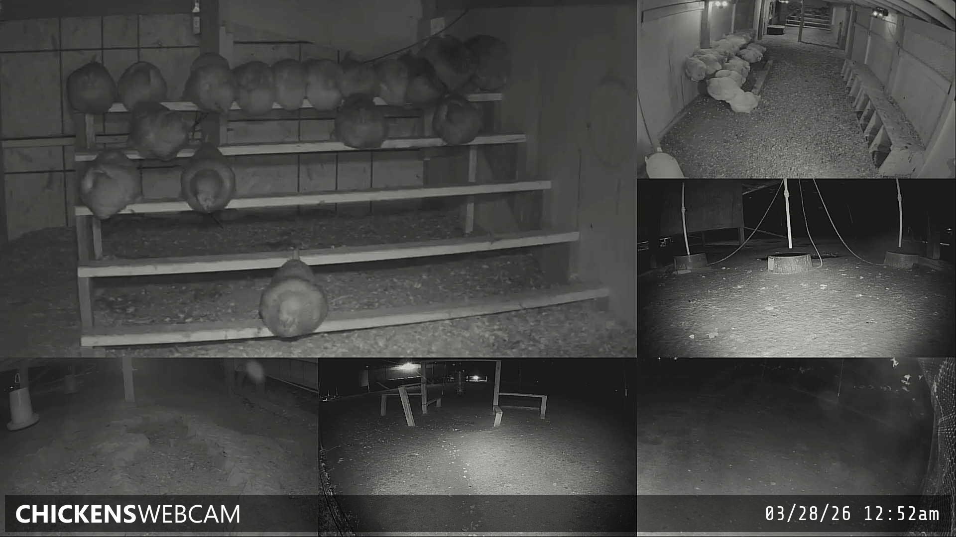 Twitch Stream Preview