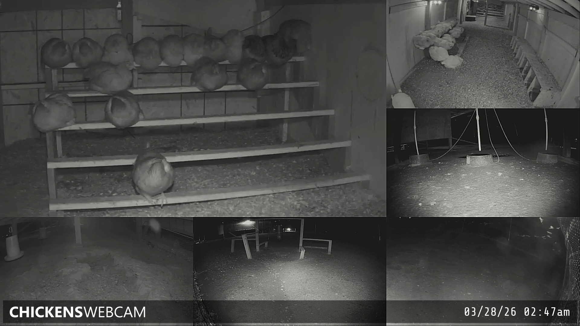 Twitch Stream Preview