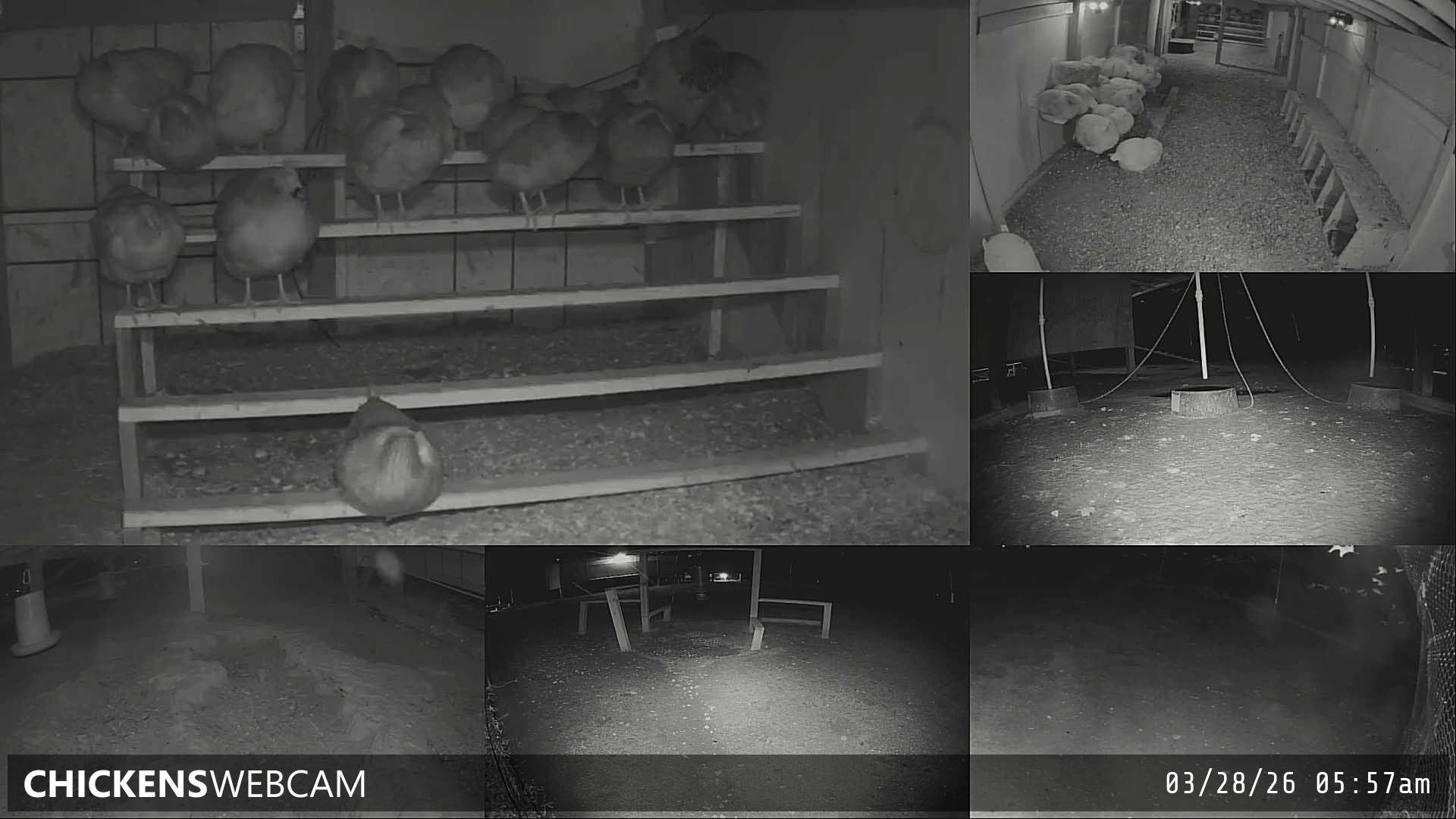 Twitch Stream Preview