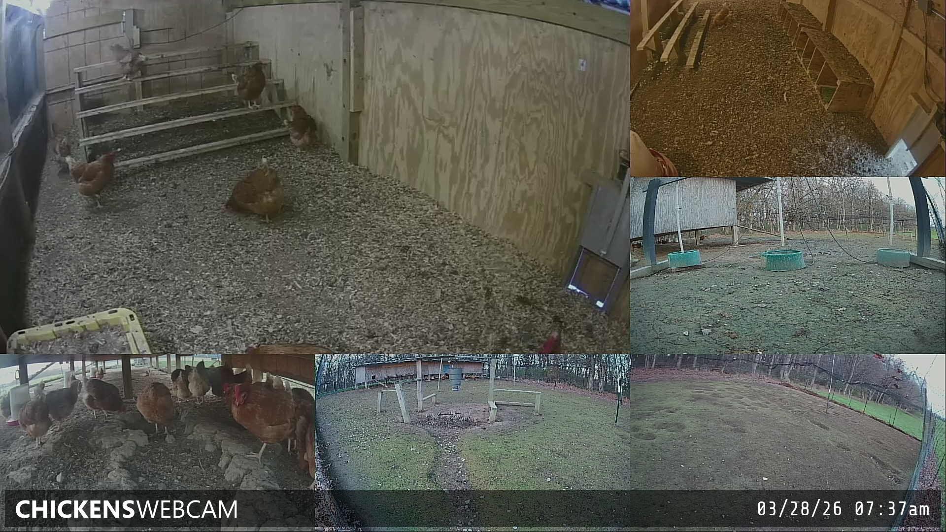 Twitch Stream Preview