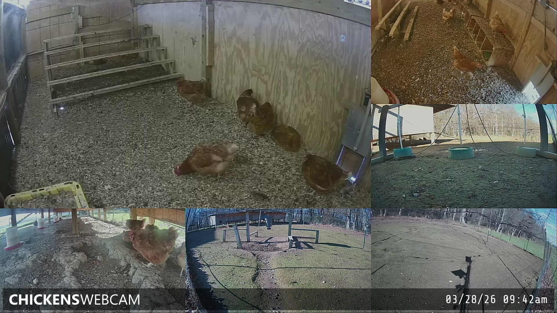 Twitch Stream Preview