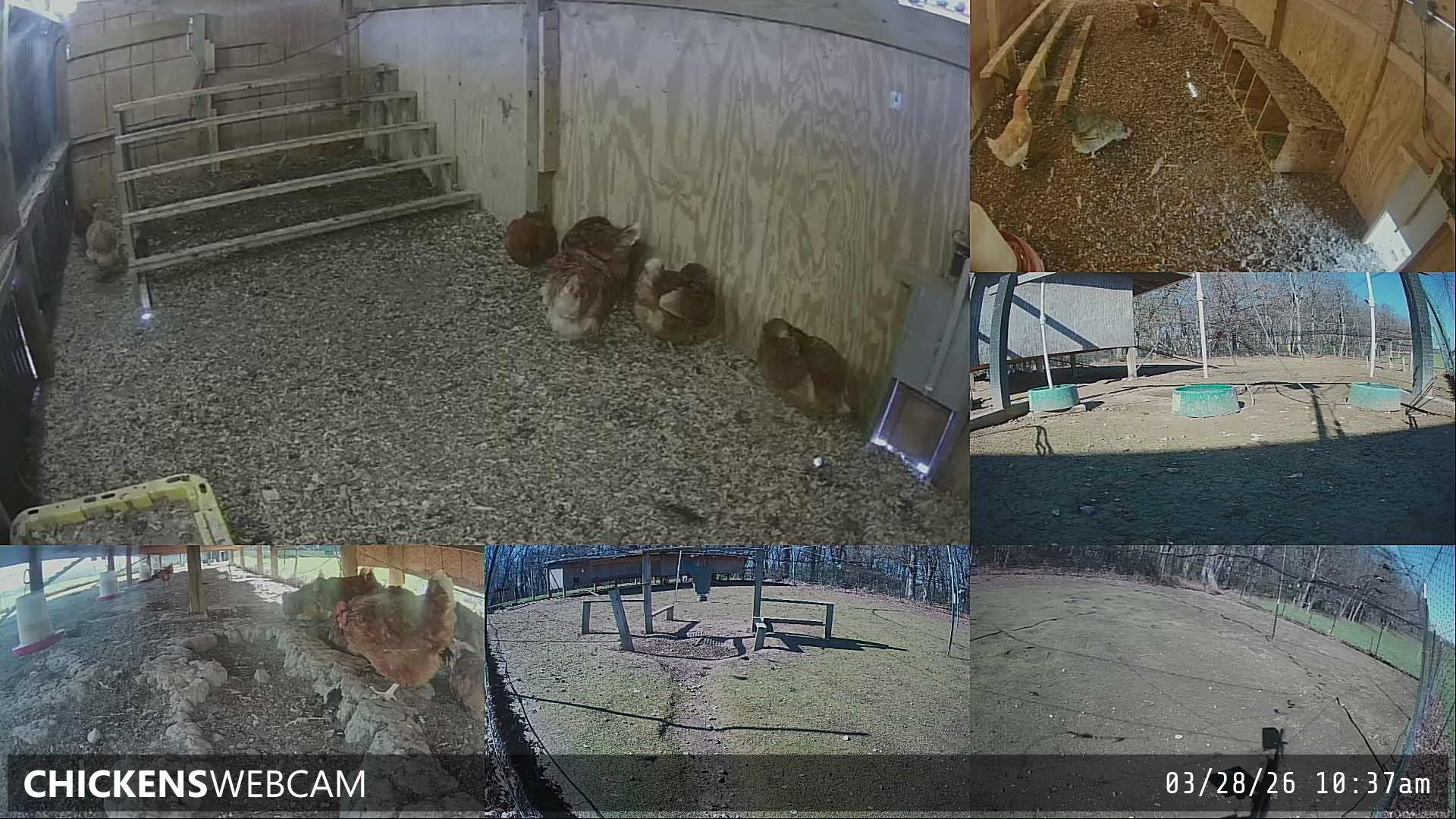 Twitch Stream Preview