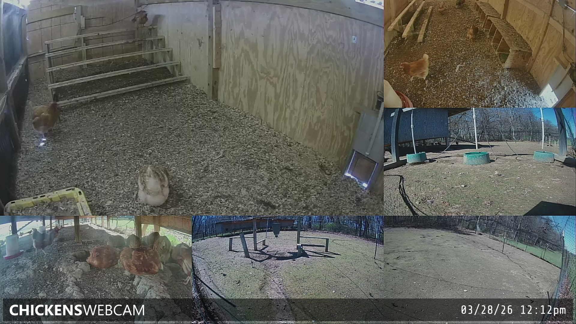 Twitch Stream Preview