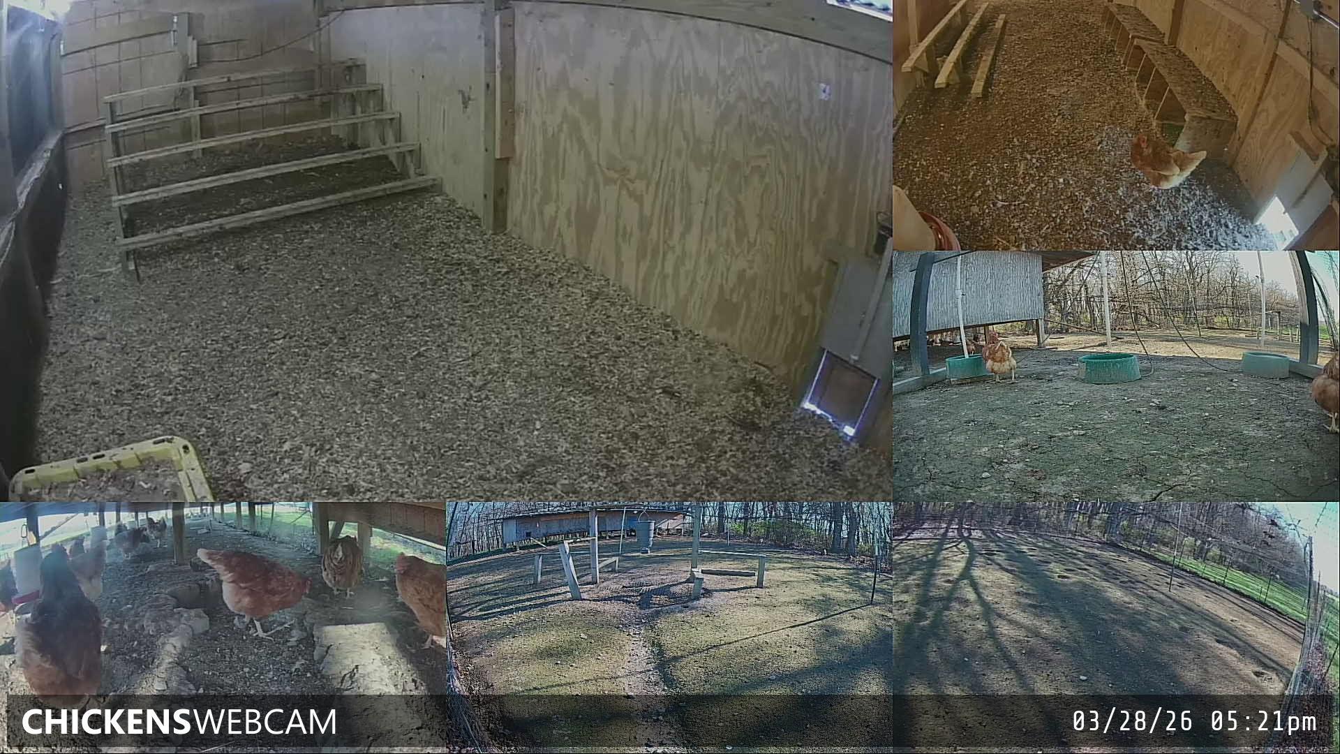 Twitch Stream Preview