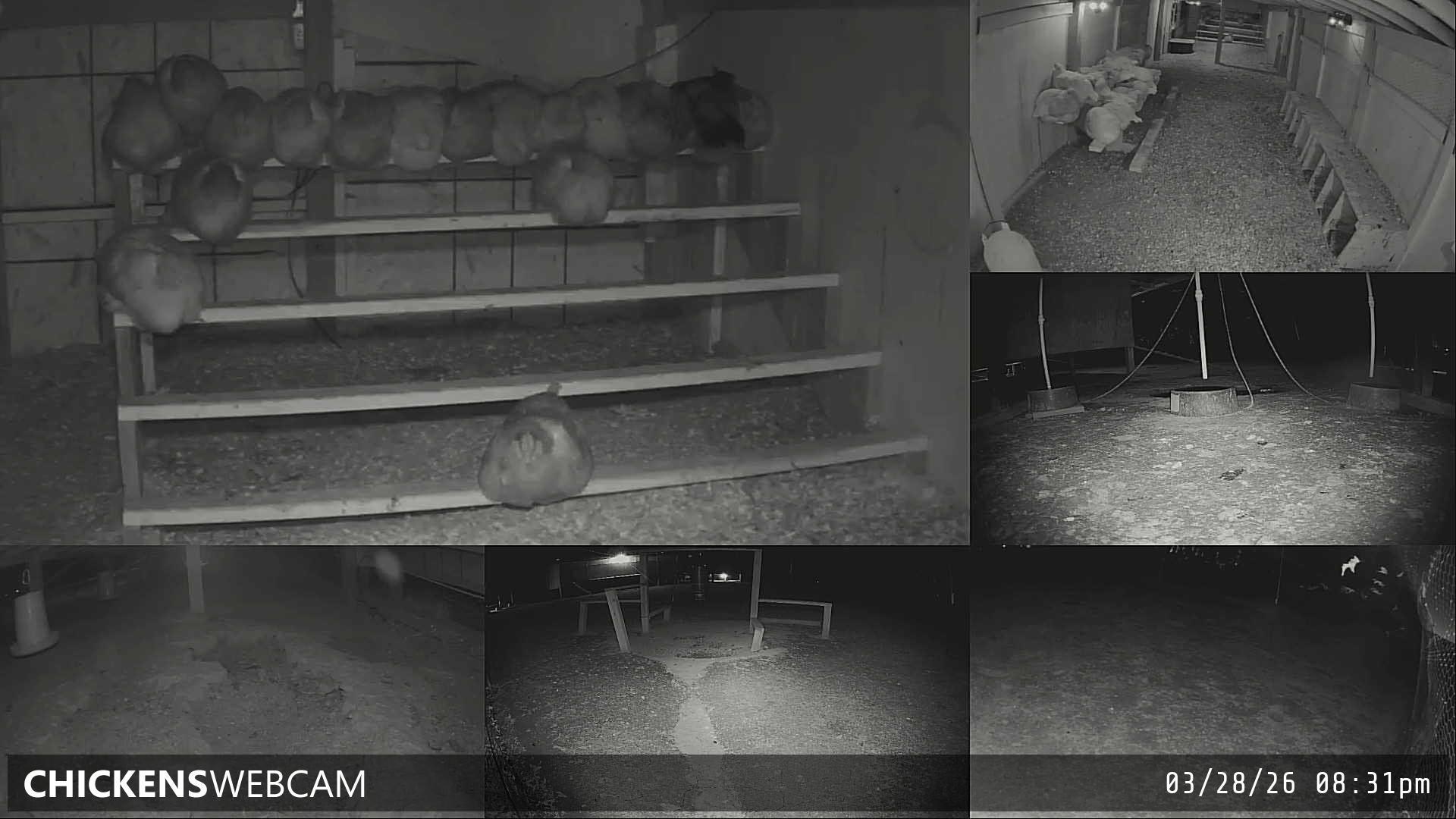 Twitch Stream Preview