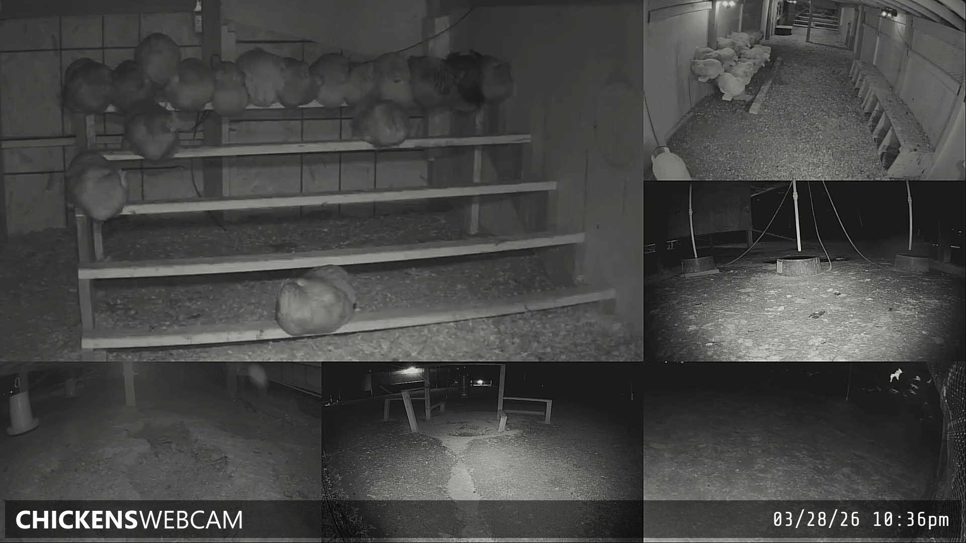 Twitch Stream Preview