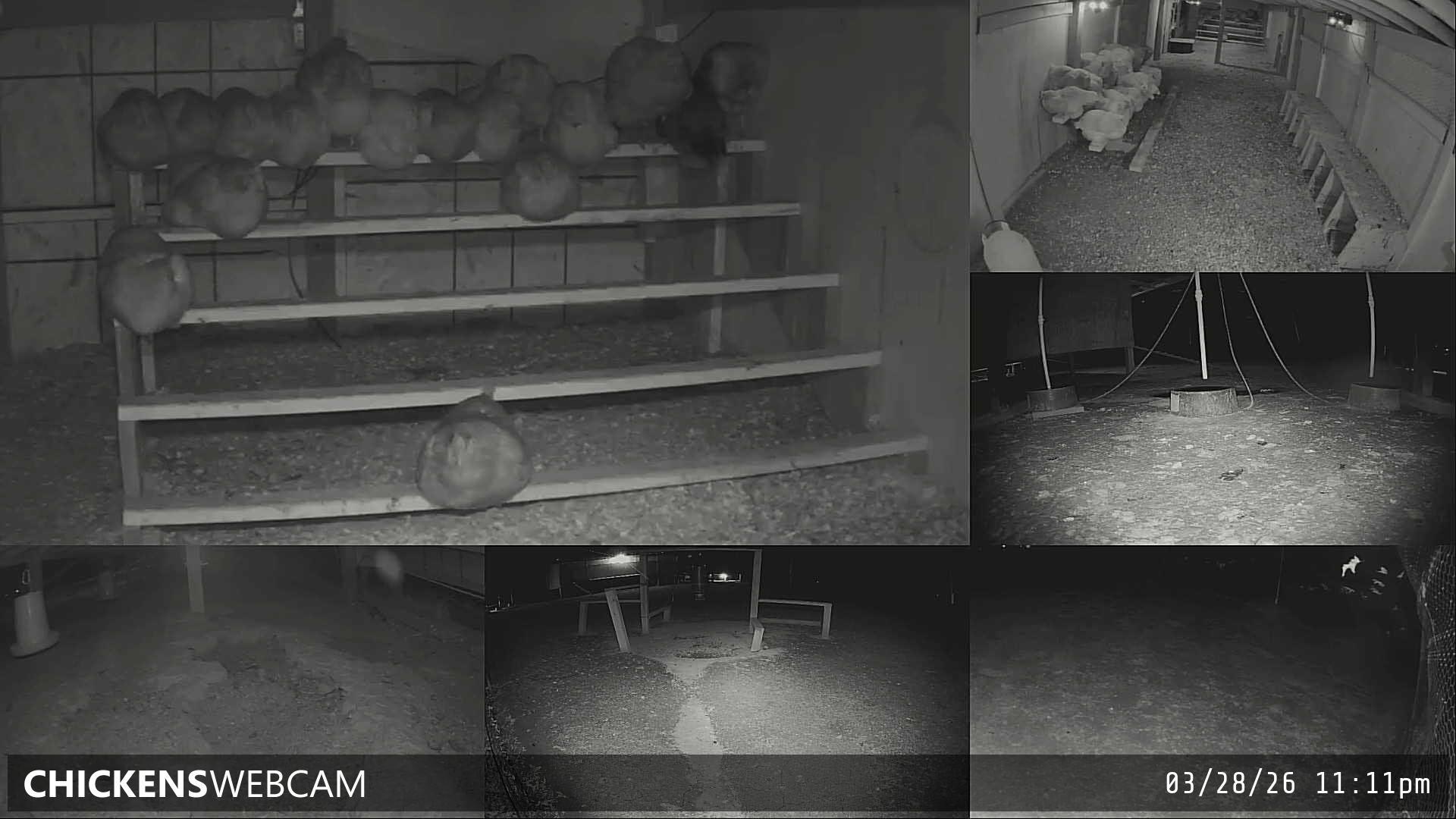 Twitch Stream Preview