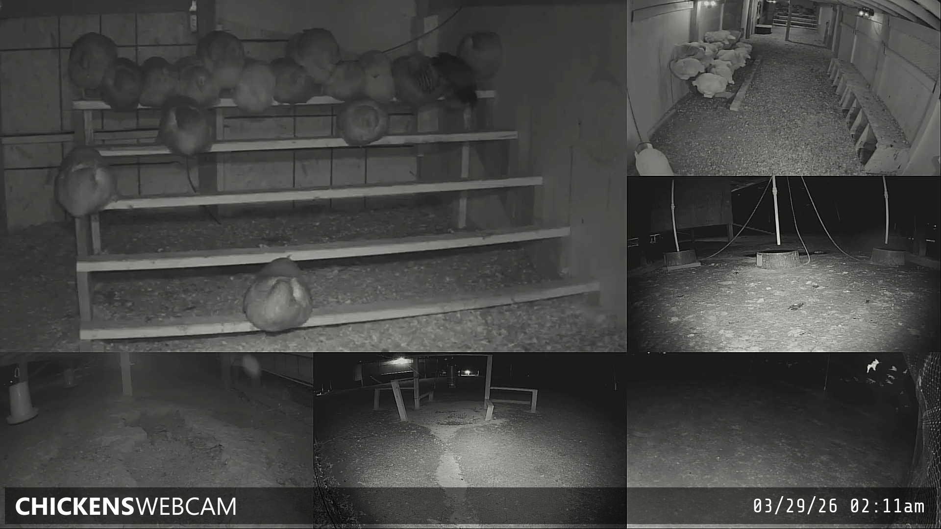 Twitch Stream Preview