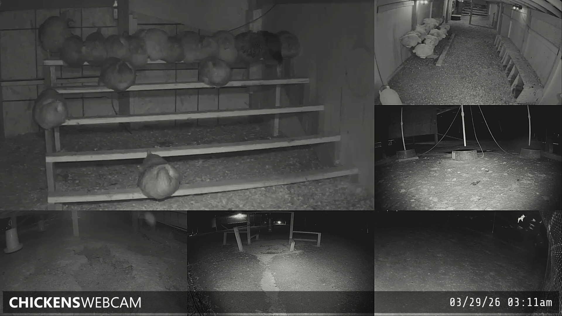 Twitch Stream Preview