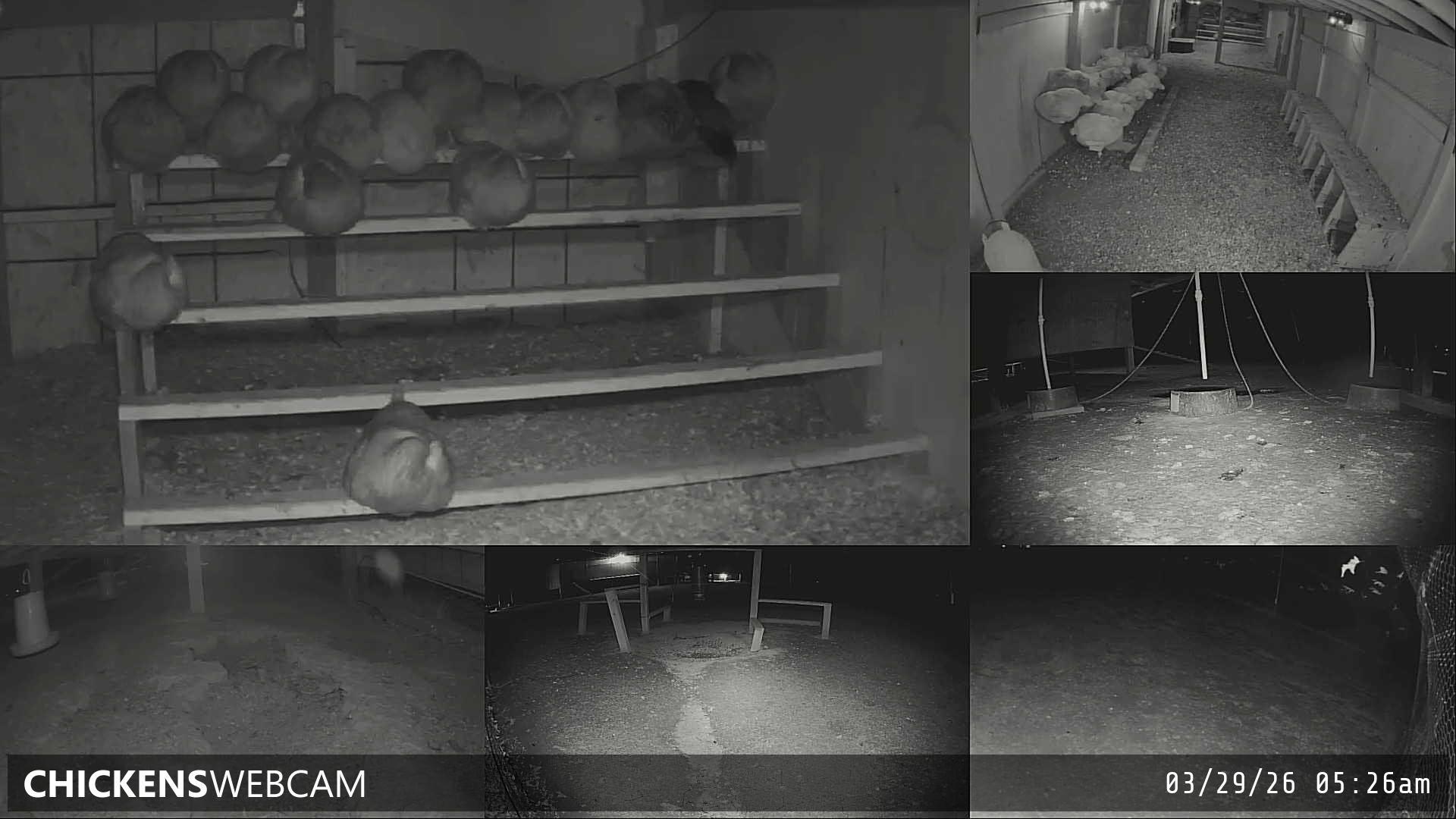 Twitch Stream Preview