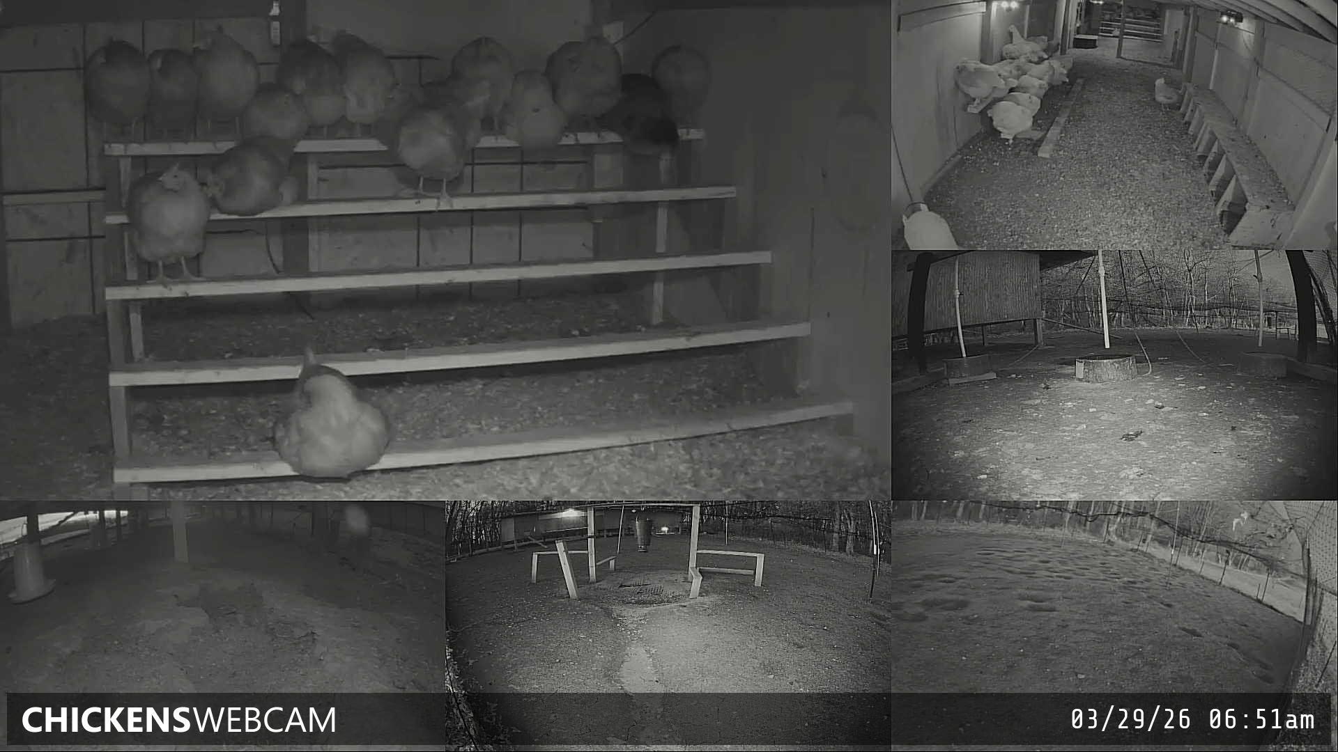 Twitch Stream Preview